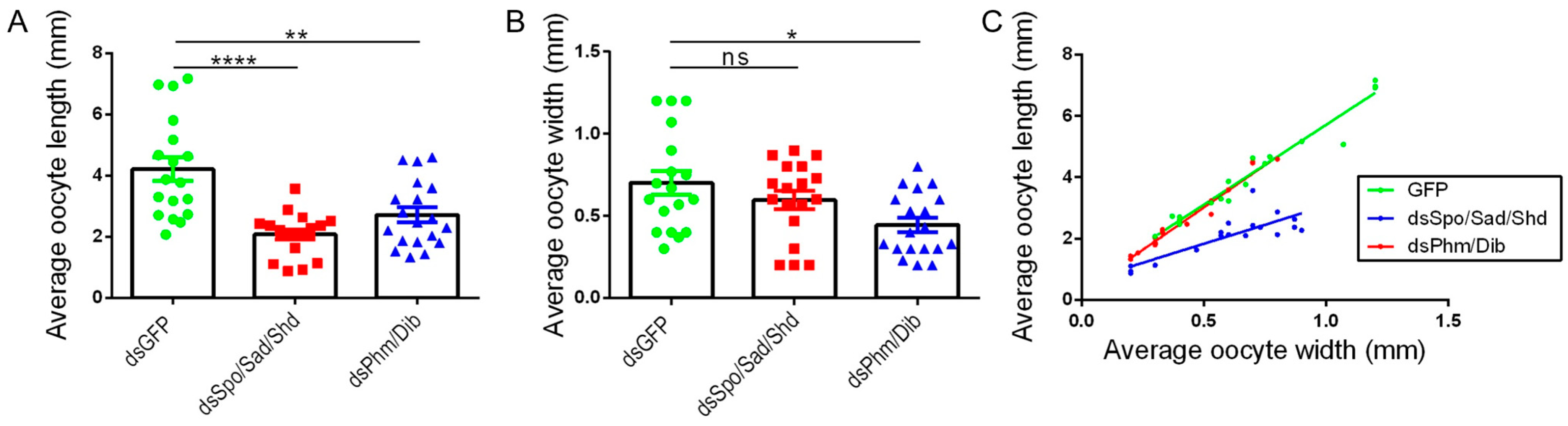 Ijms 23 09232 g004 Ijms 23 09232 g004