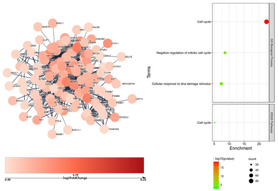 IJMS | Free Full-Text | Gene Network Analysis Of The Transcriptome ...