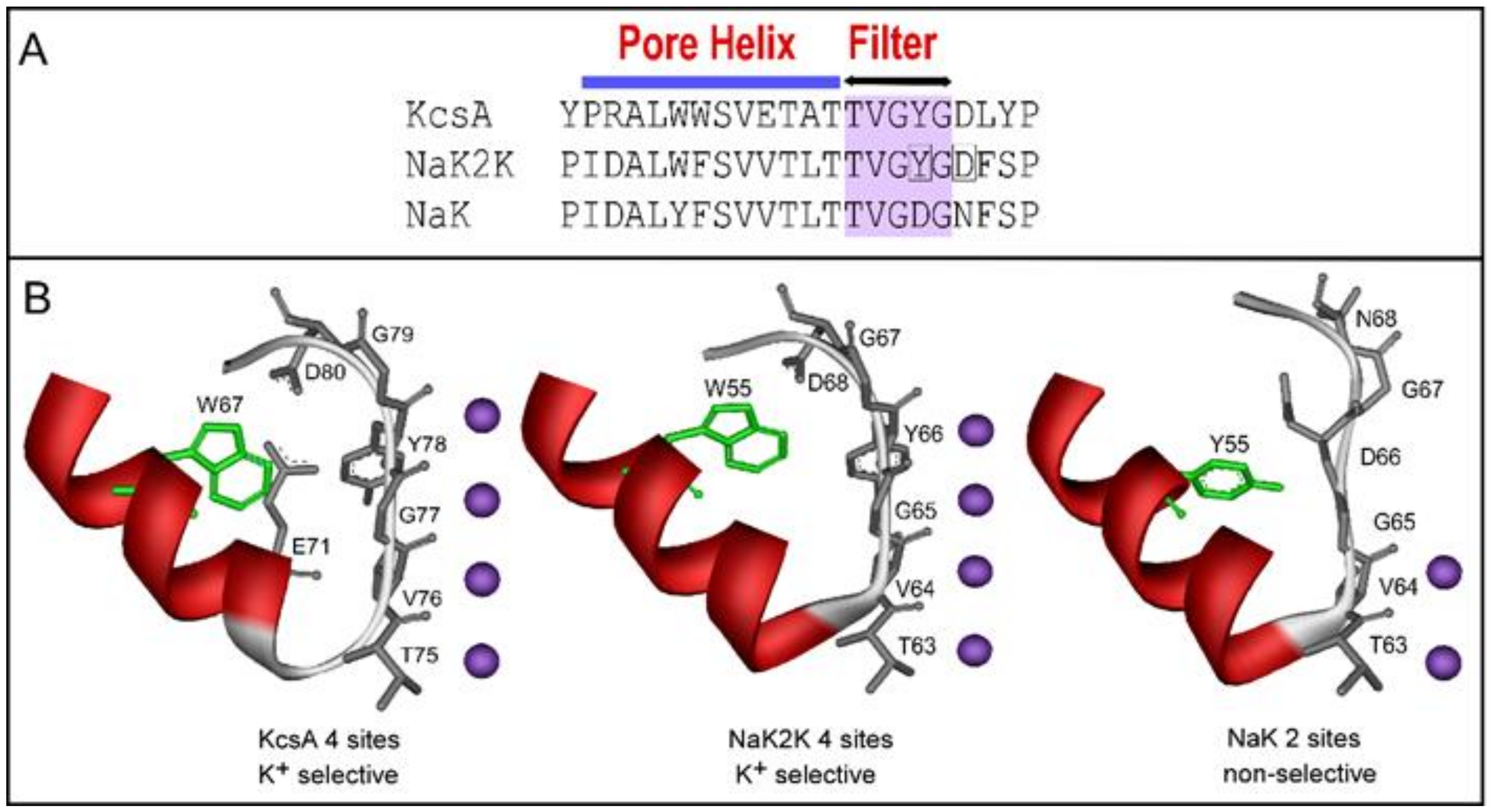 Ijms 23 09246 sch001