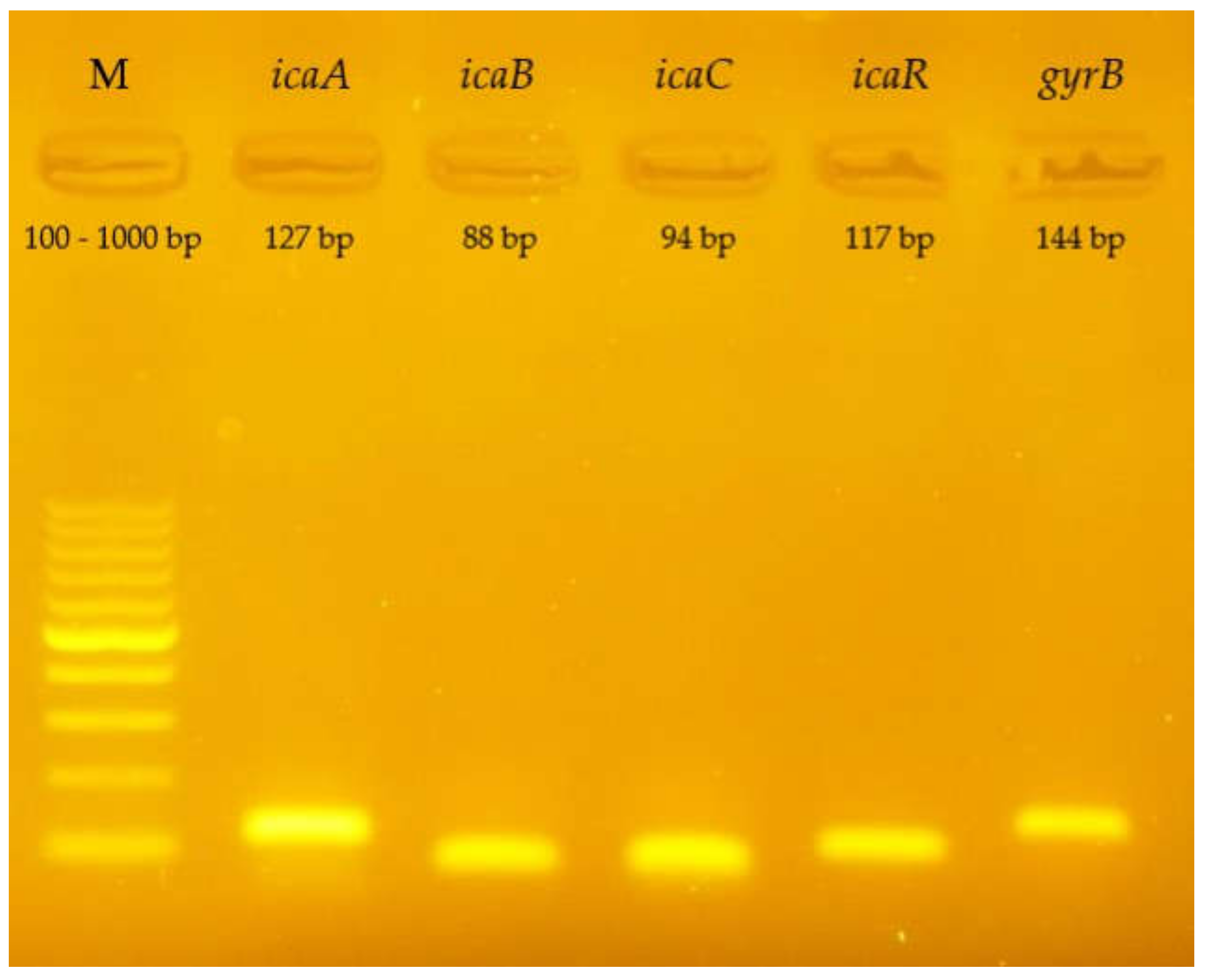 Ijms 23 09257 g007