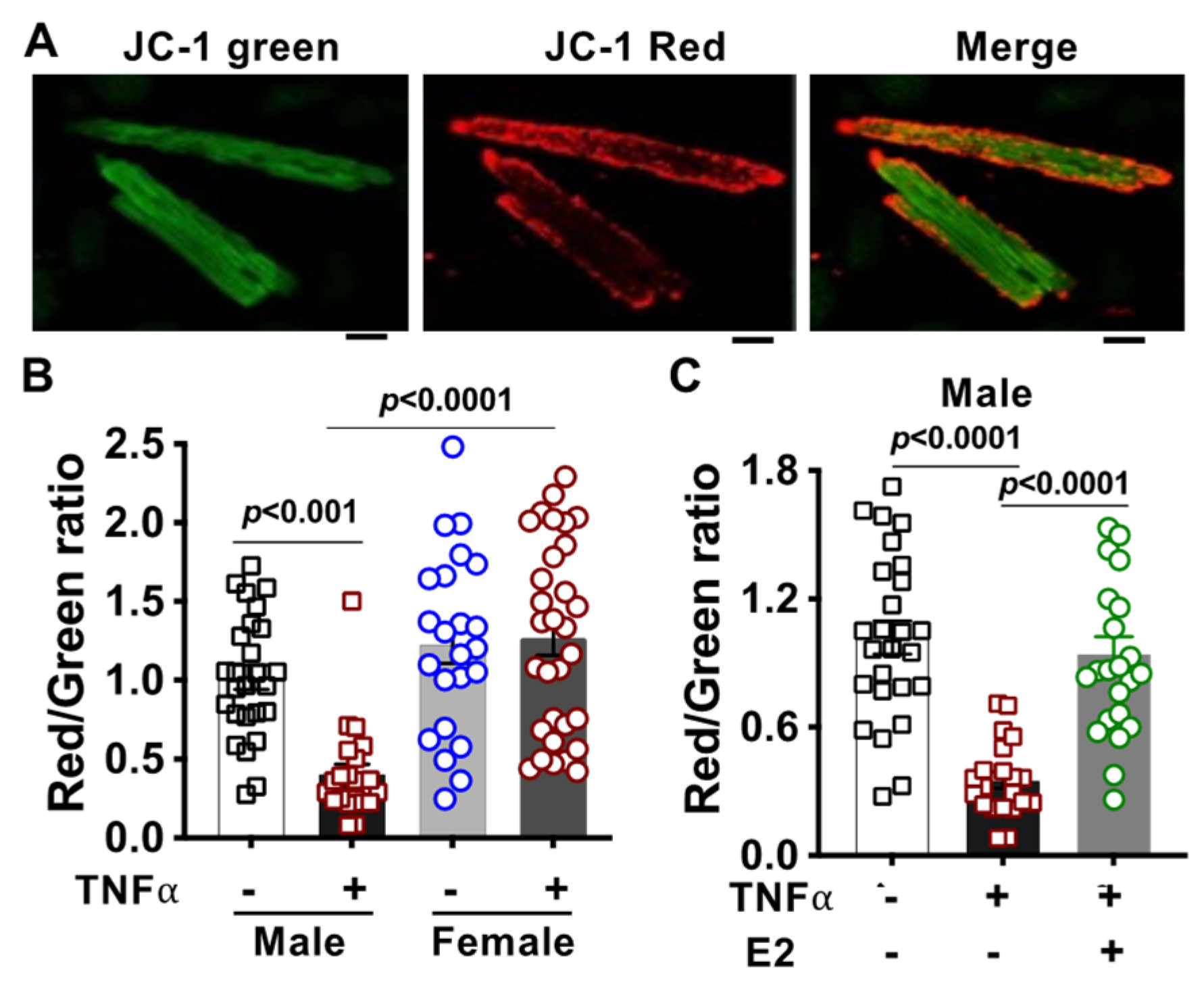 Ijms 23 09312 g006 Ijms 23 09312 g006