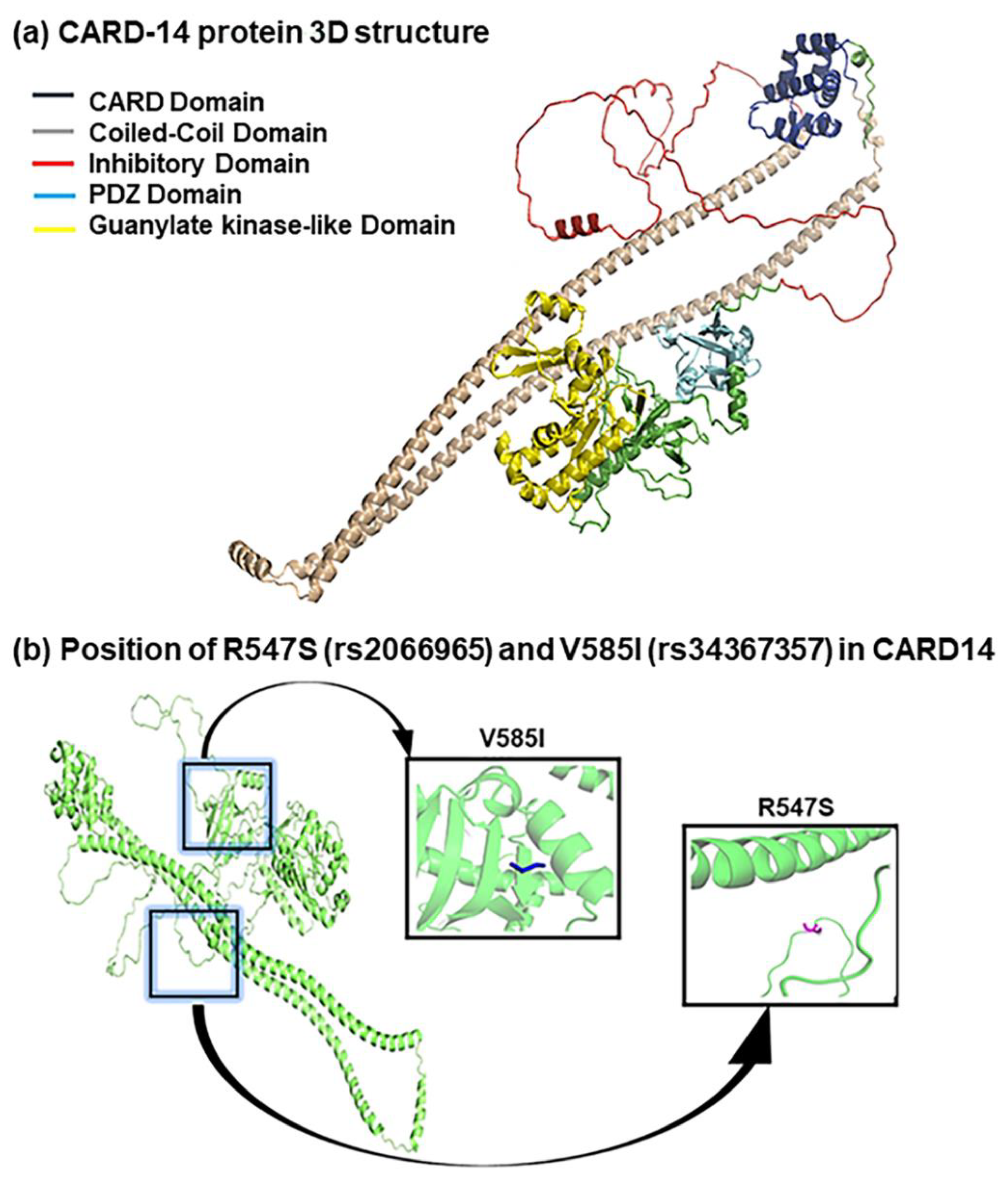 Ijms 23 09336 g004 Ijms 23 09336 g004