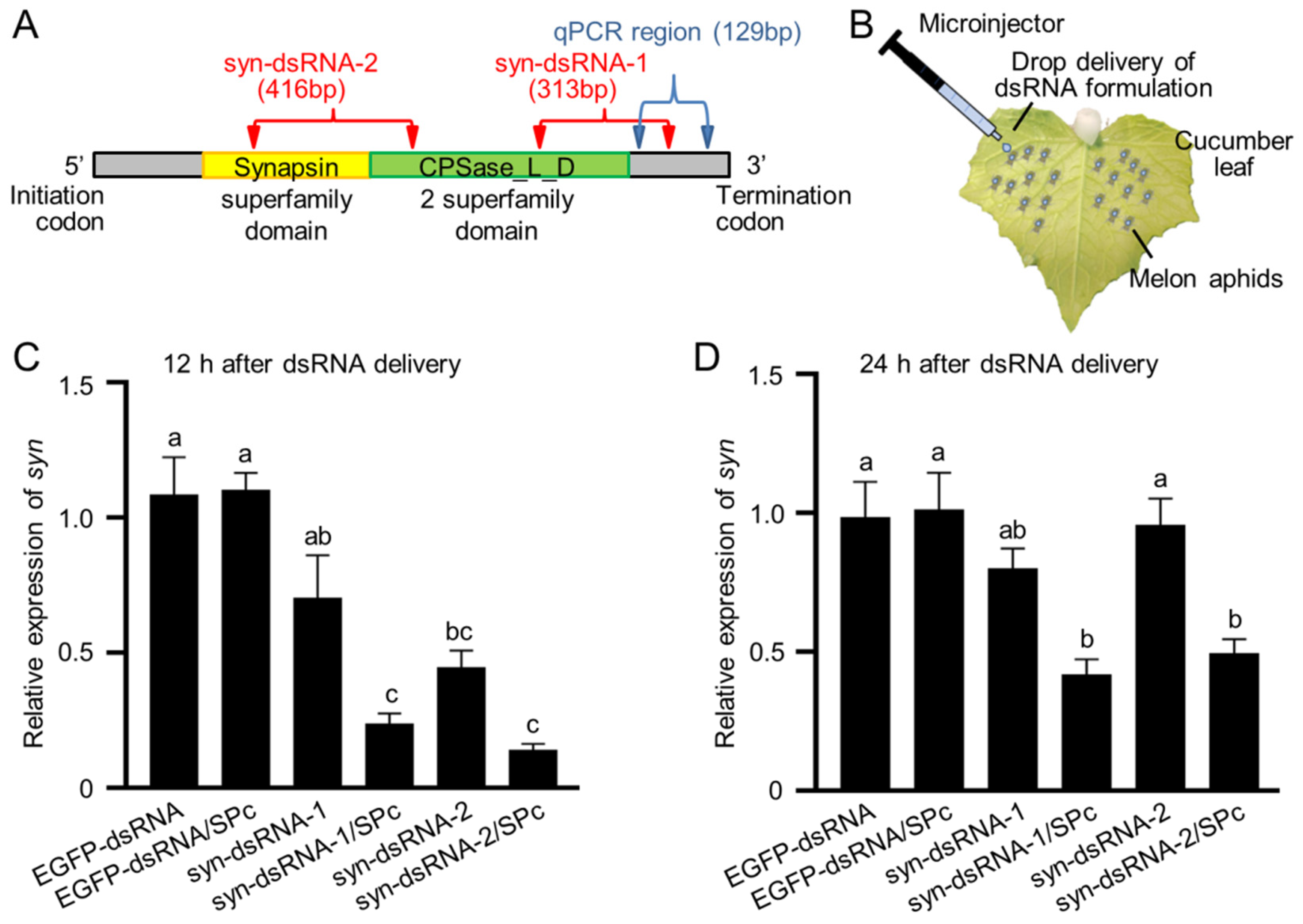 Ijms 23 09388 g003 Ijms 23 09388 g003