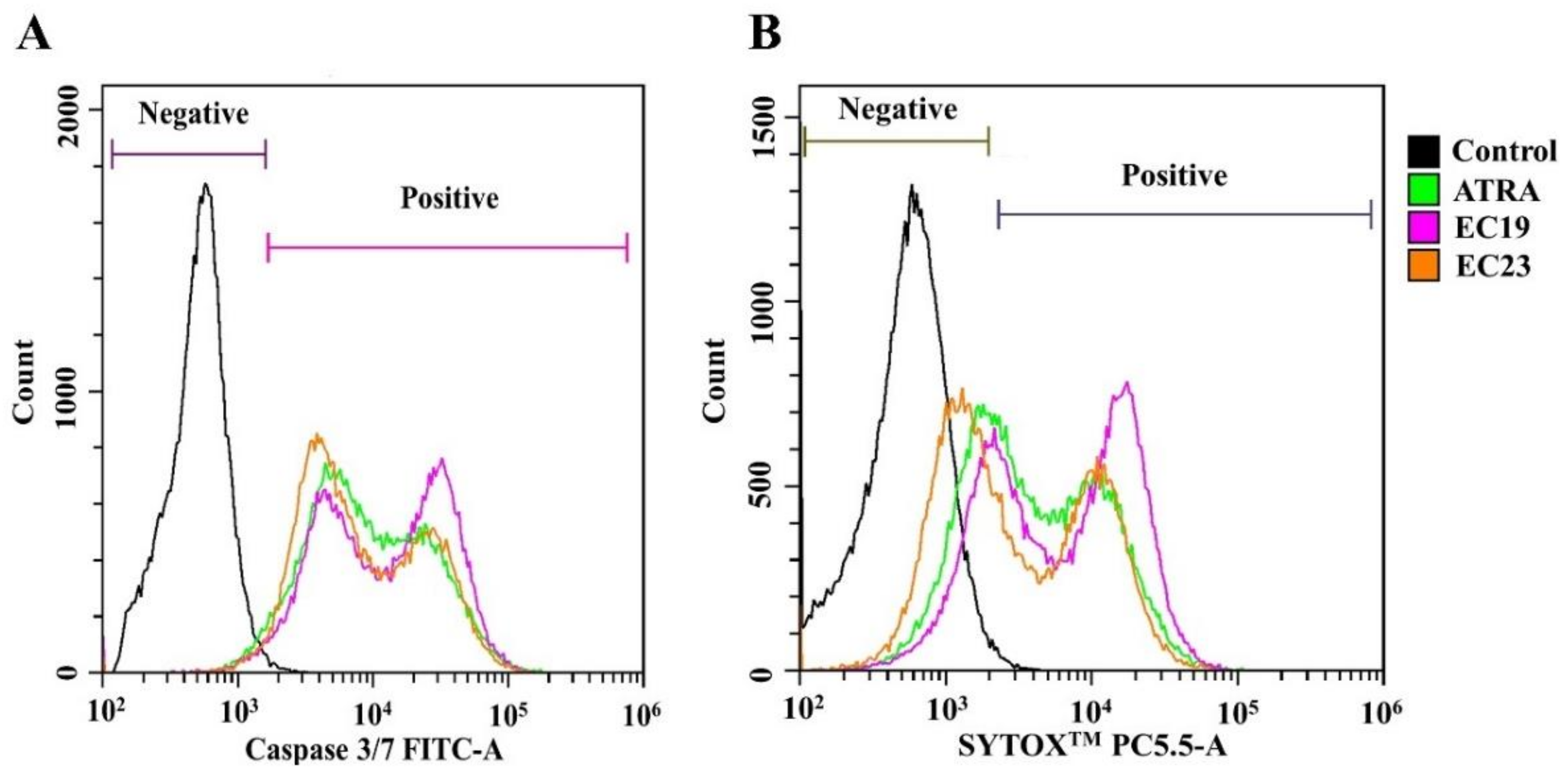 IJMS | Free Full-Text | Augmented Therapeutic Potential of EC-Synthetic  Retinoids in Caco-2 Cancer Cells Using an In Vitro Approach