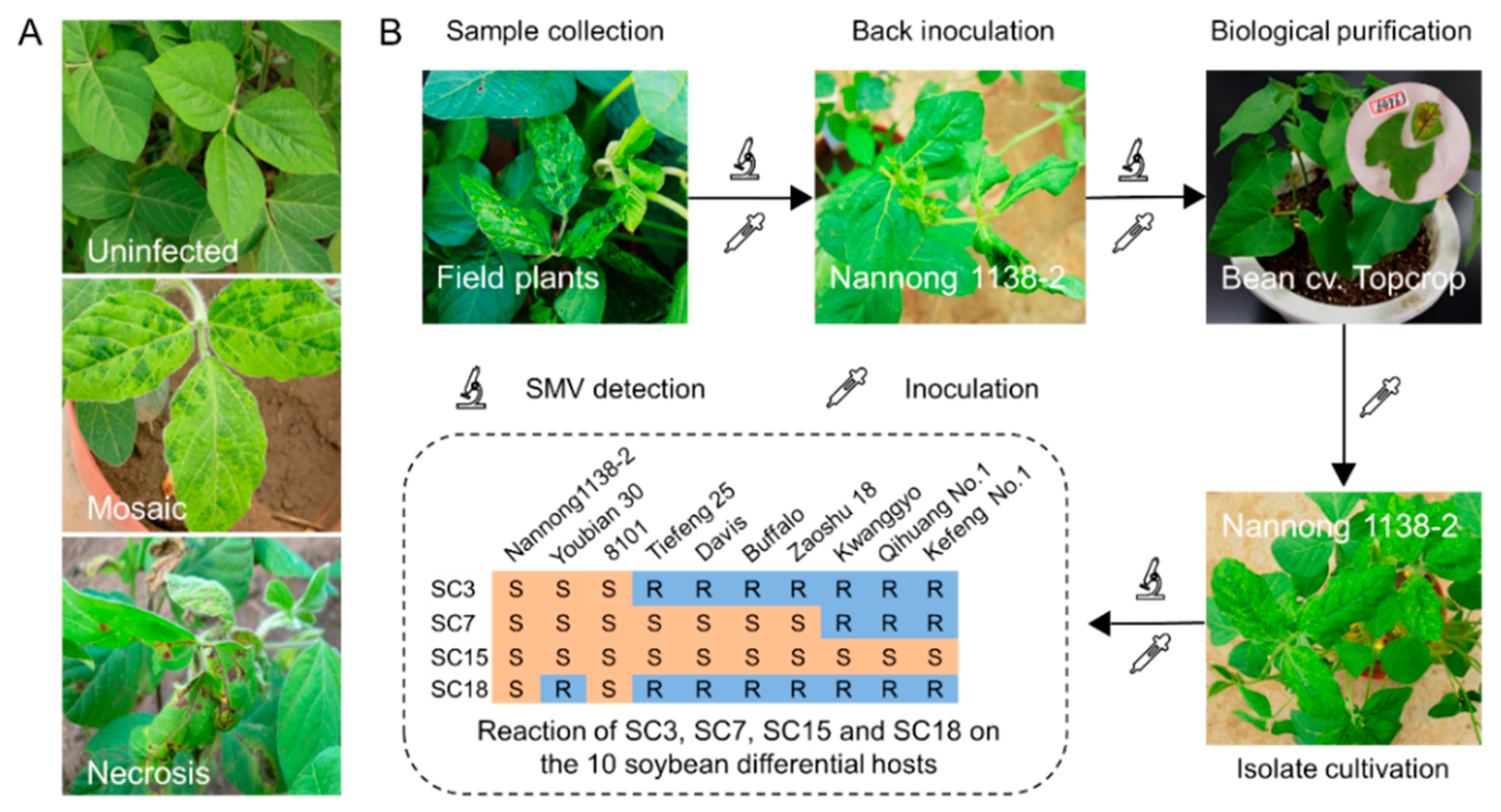 Ijms 23 09457 g002 Ijms 23 09457 g002