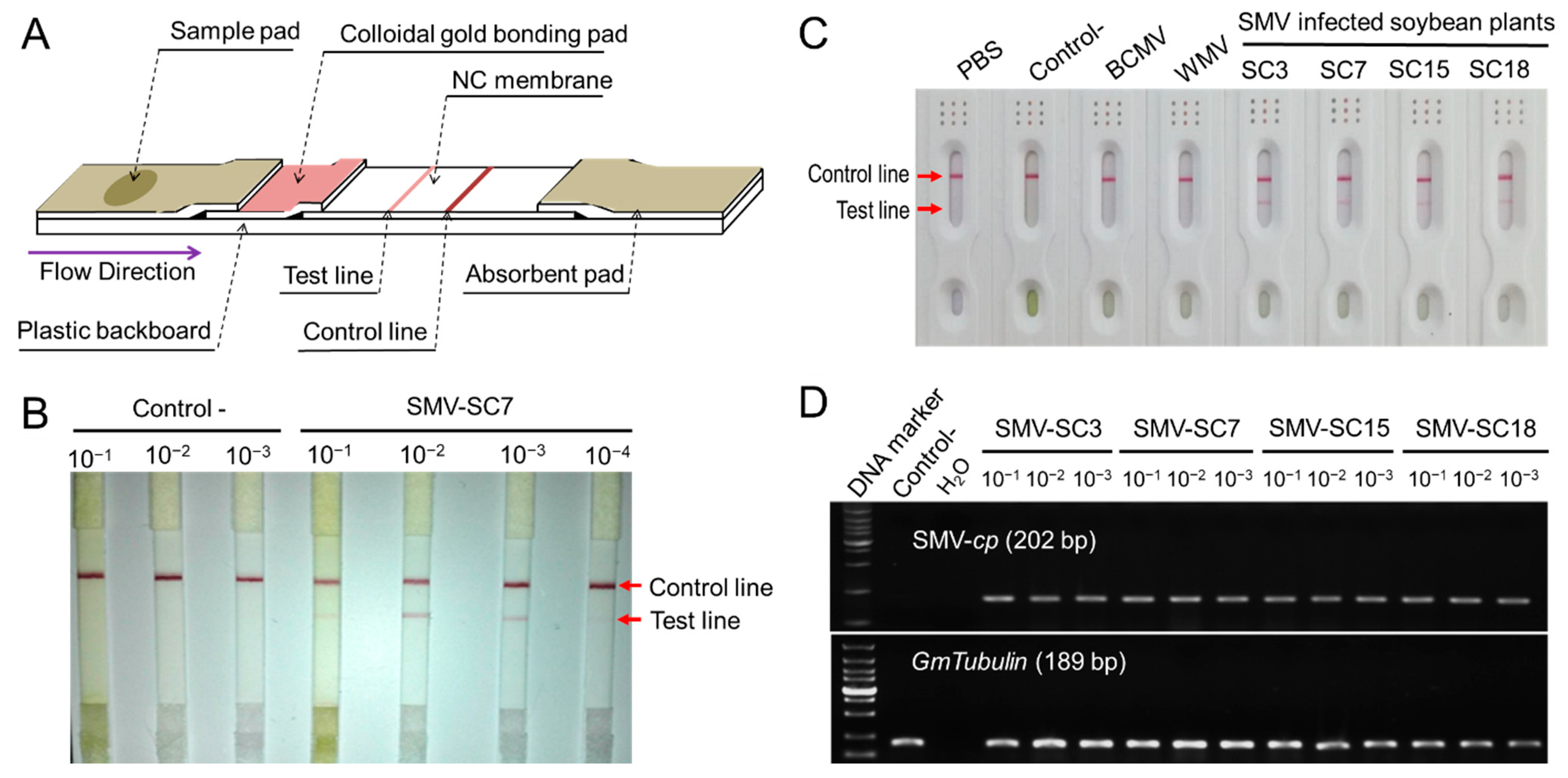 Ijms 23 09457 g007 Ijms 23 09457 g007
