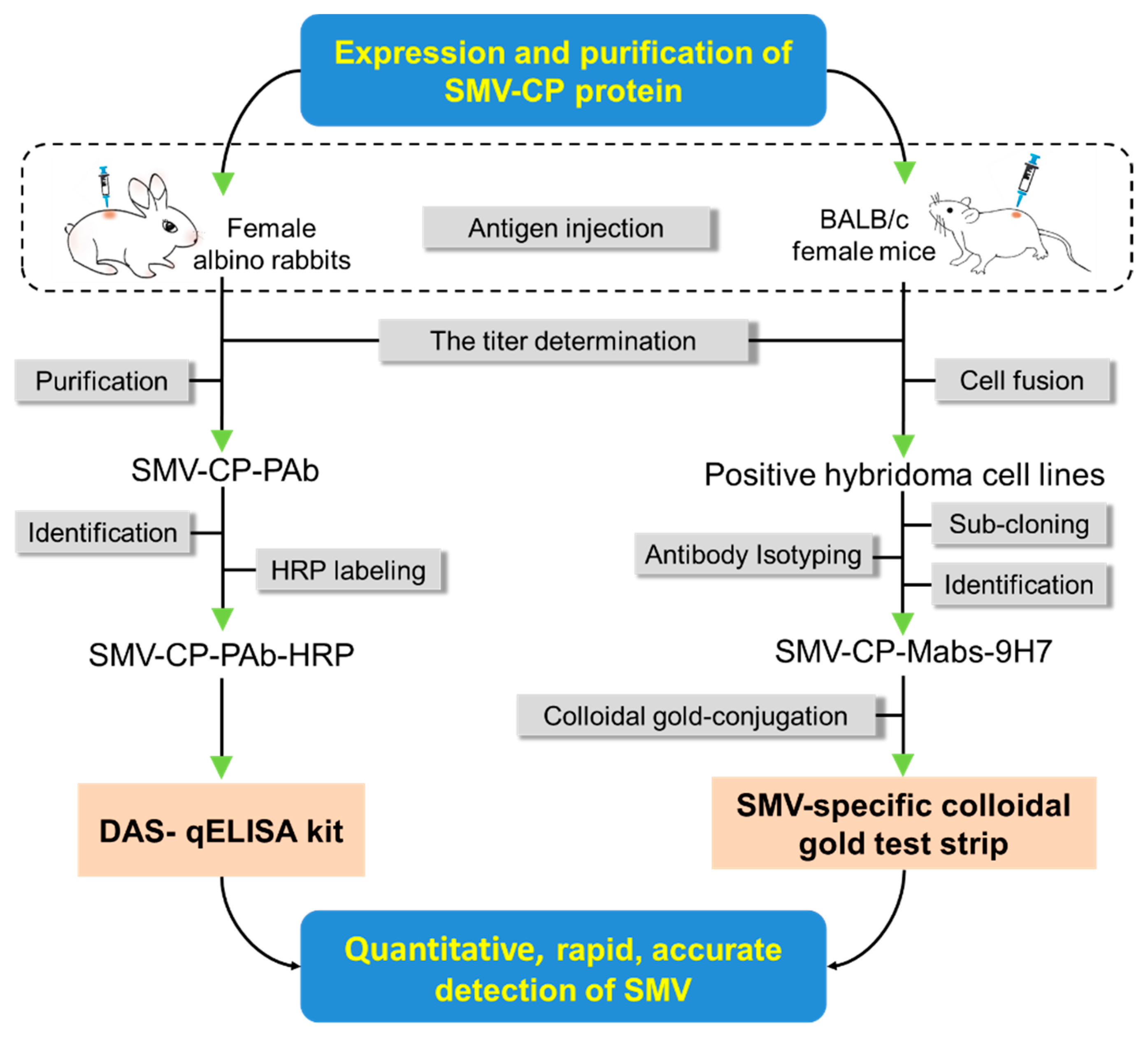 Ijms 23 09457 g009 Ijms 23 09457 g009