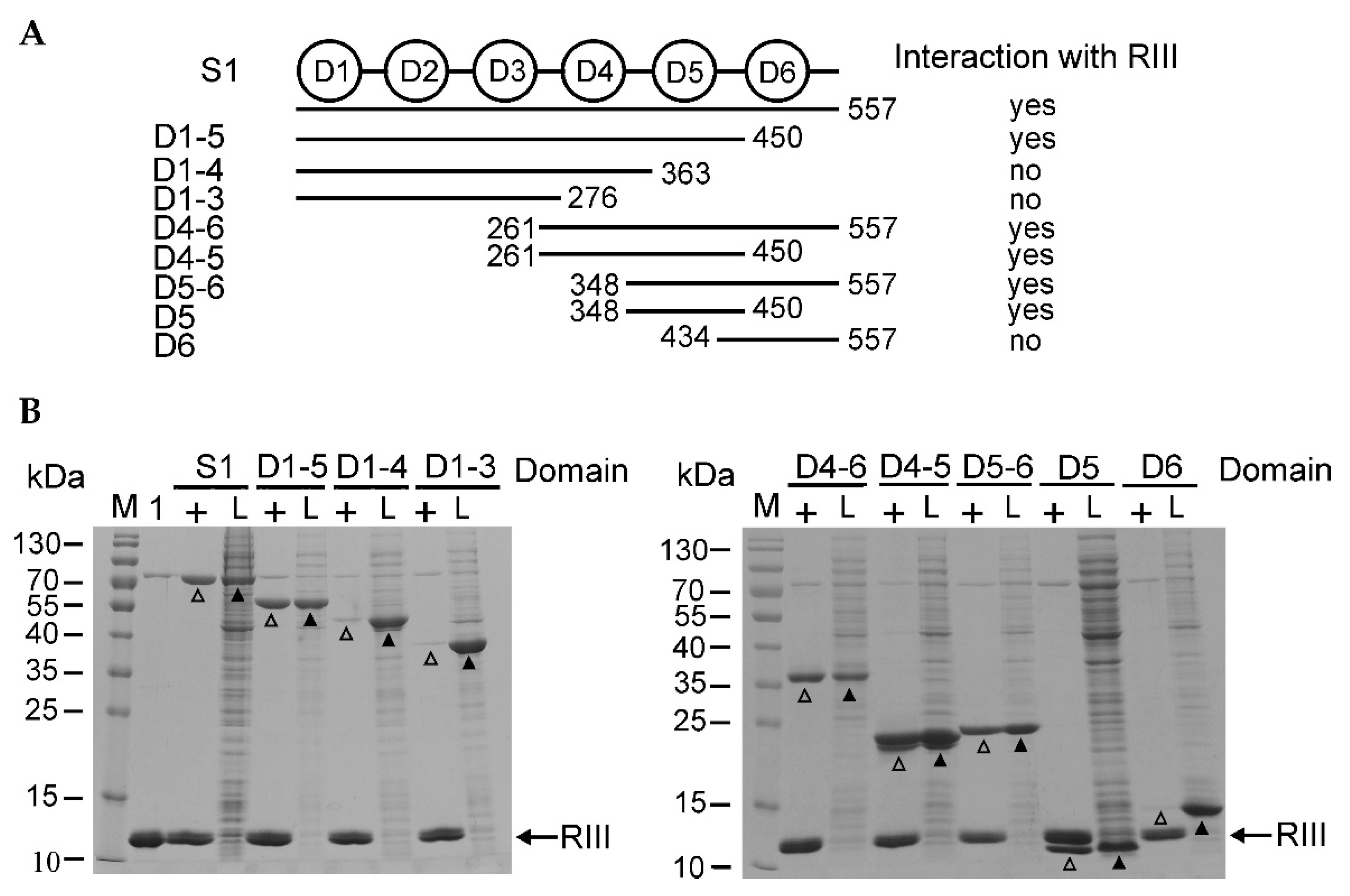 Ijms 23 09483 g002 Ijms 23 09483 g002