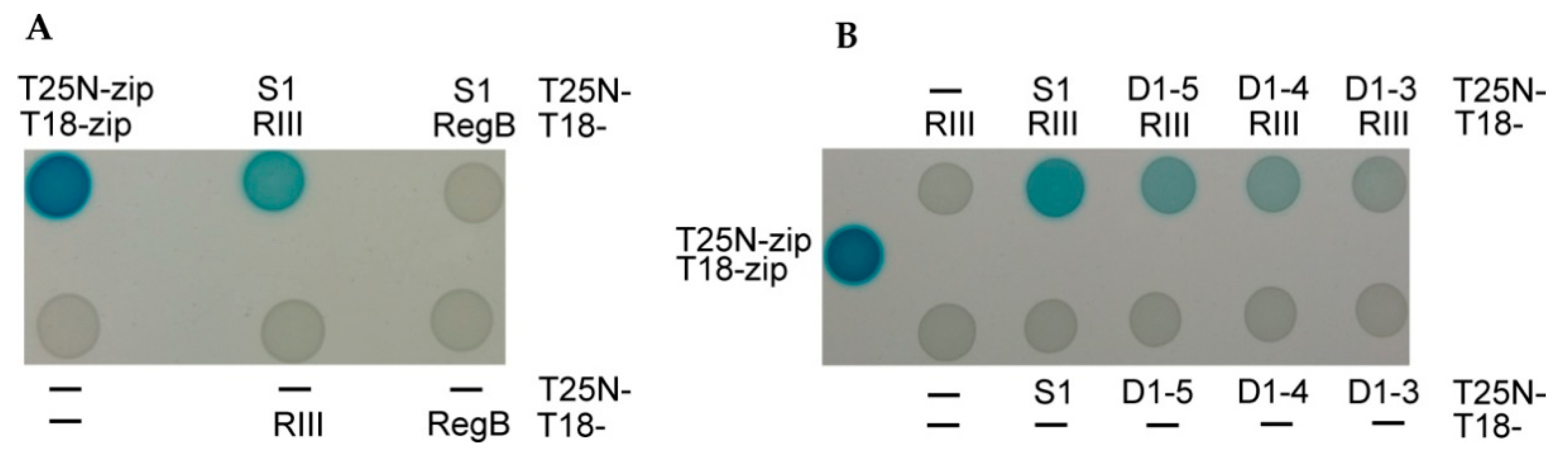 Ijms 23 09483 g003 Ijms 23 09483 g003