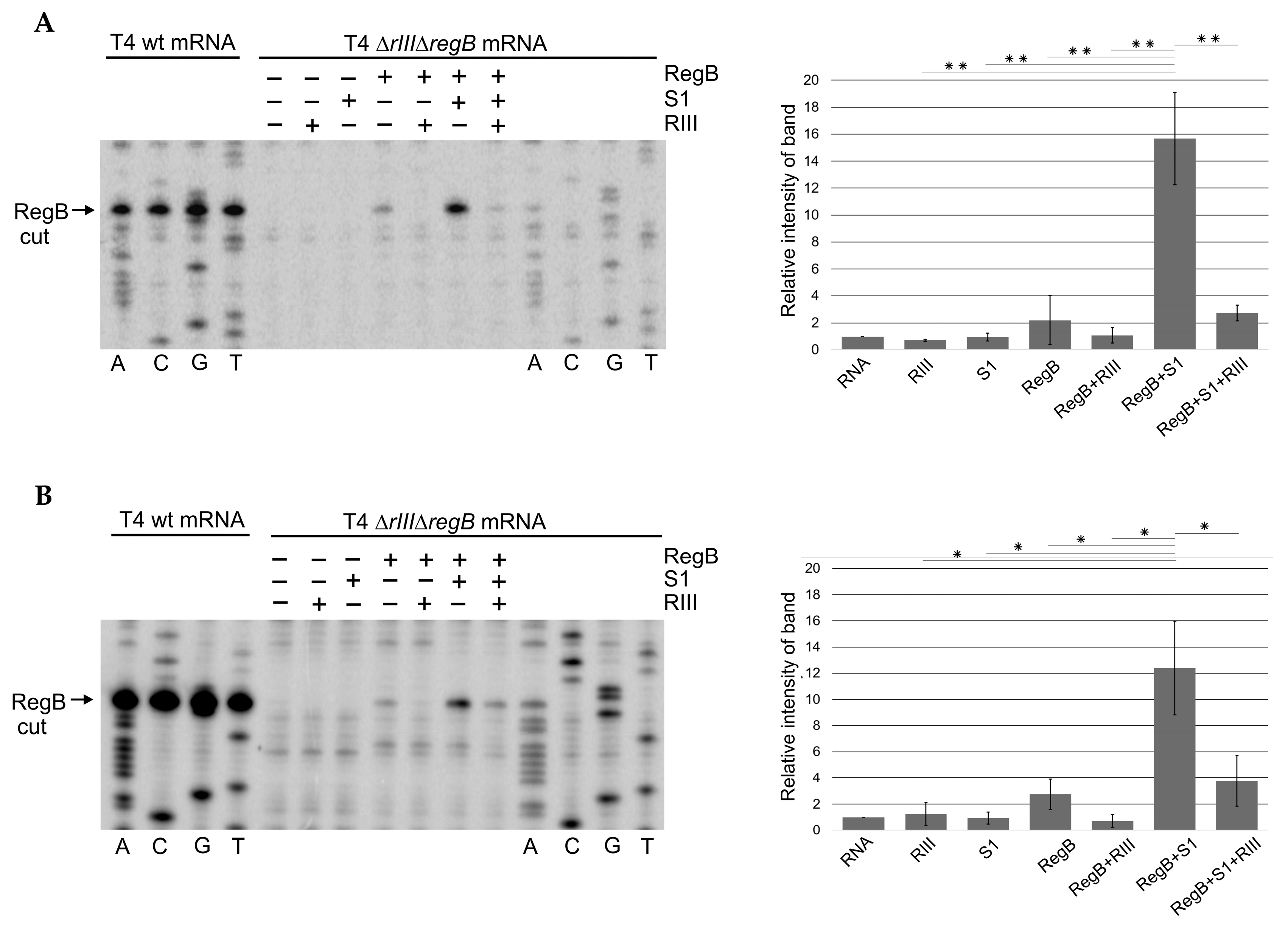 Ijms 23 09483 g004 Ijms 23 09483 g004