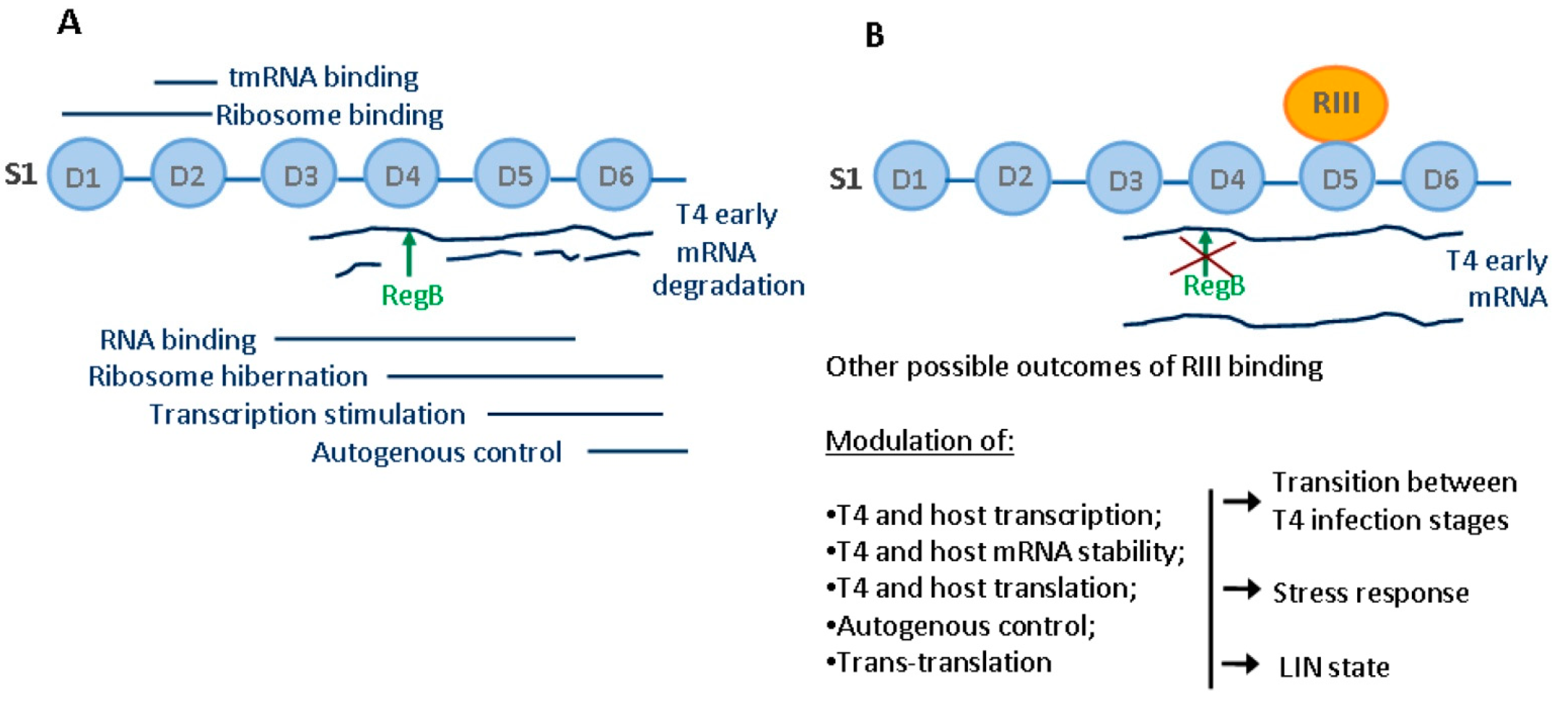Ijms 23 09483 g005 Ijms 23 09483 g005
