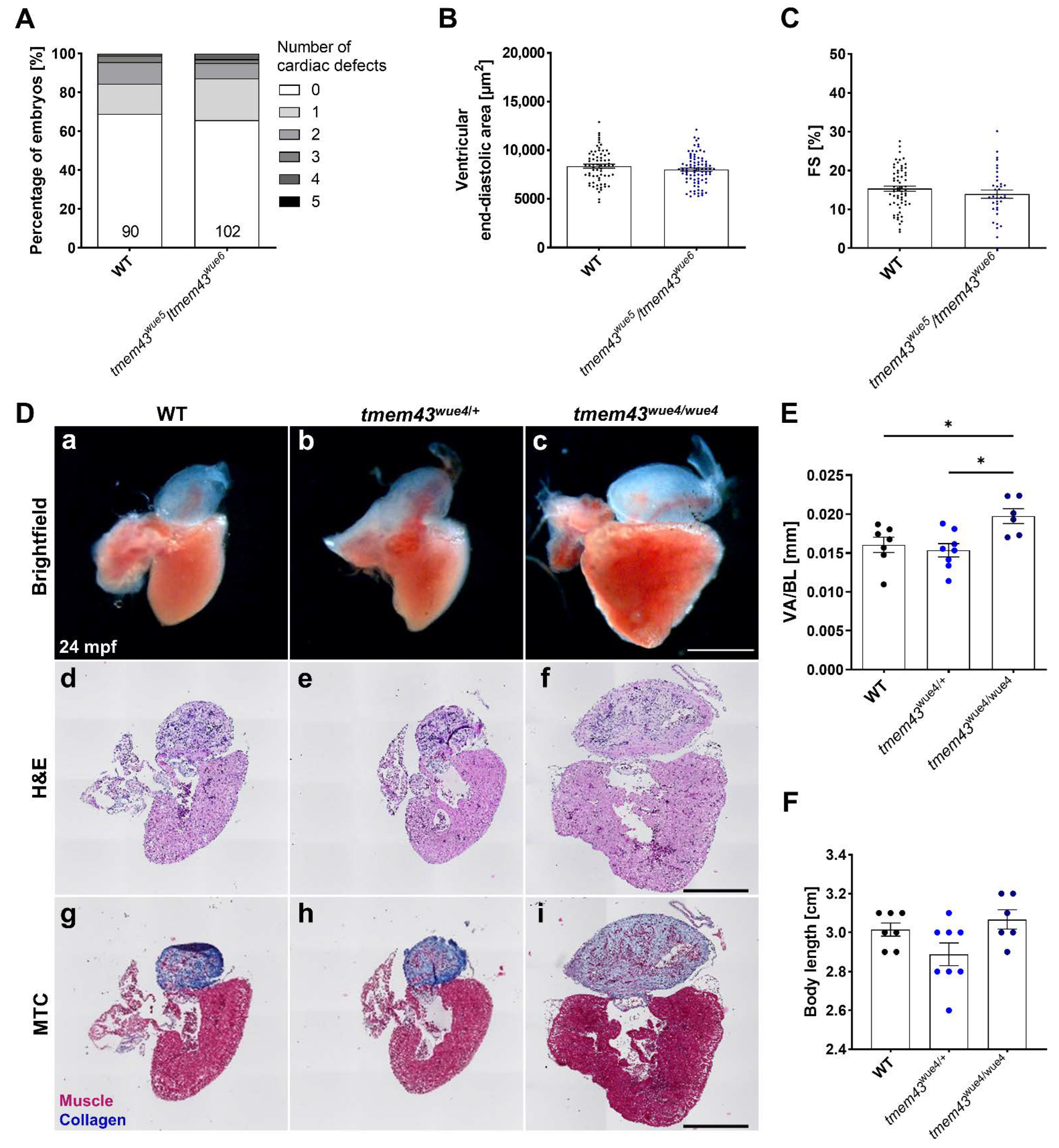 Ijms 23 09530 g007 Ijms 23 09530 g007