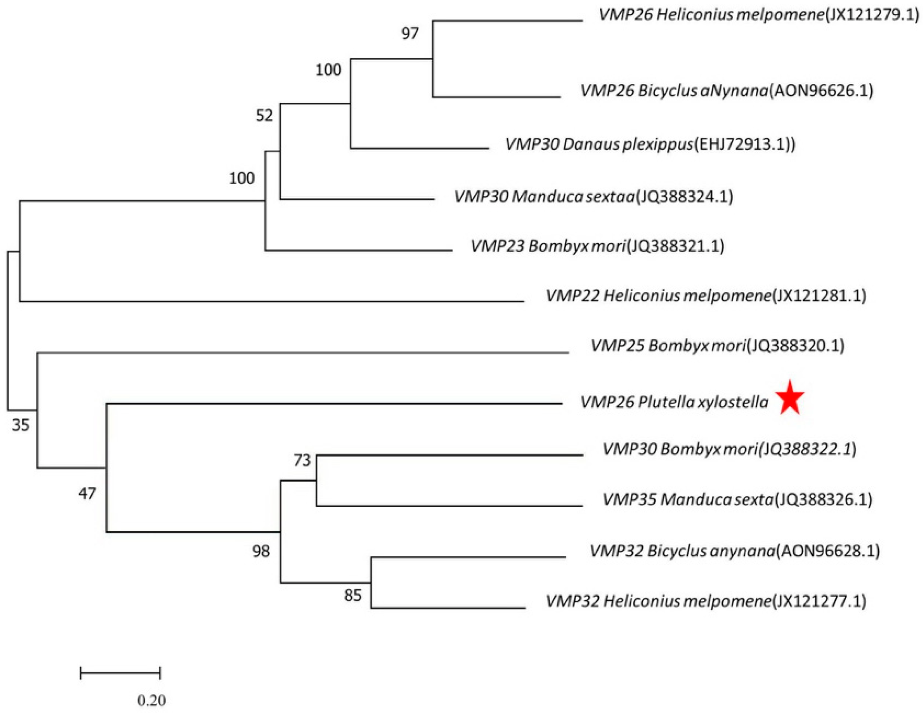Ijms 23 09538 g001 Ijms 23 09538 g001