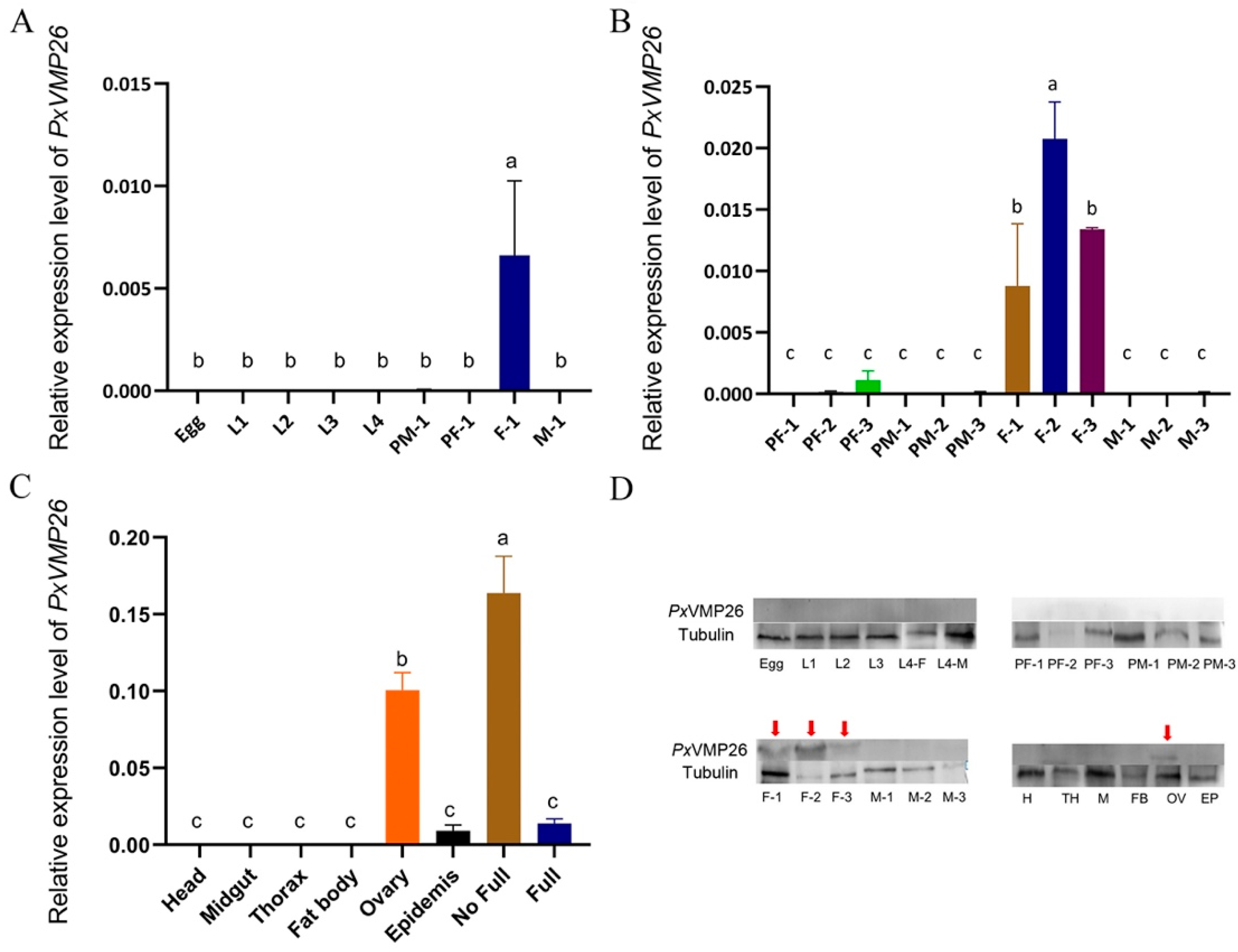 Ijms 23 09538 g002 Ijms 23 09538 g002