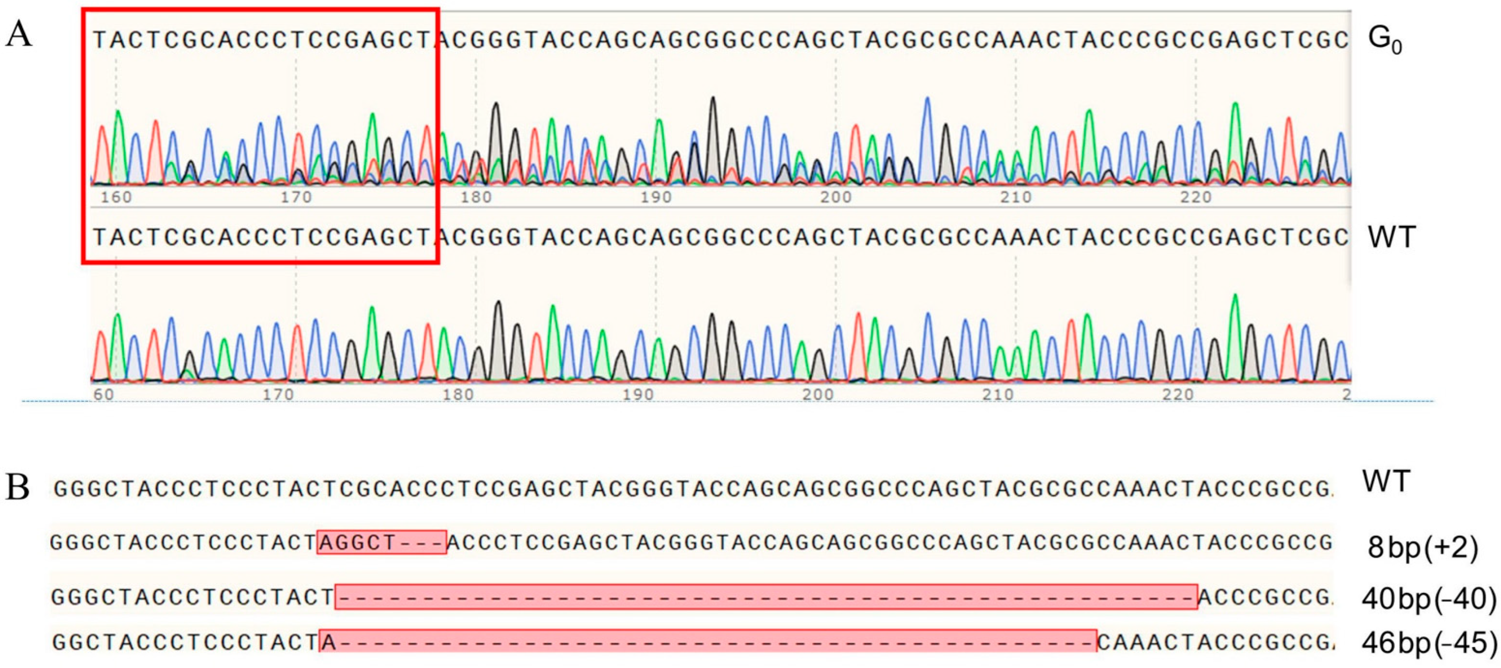 Ijms 23 09538 g003 Ijms 23 09538 g003