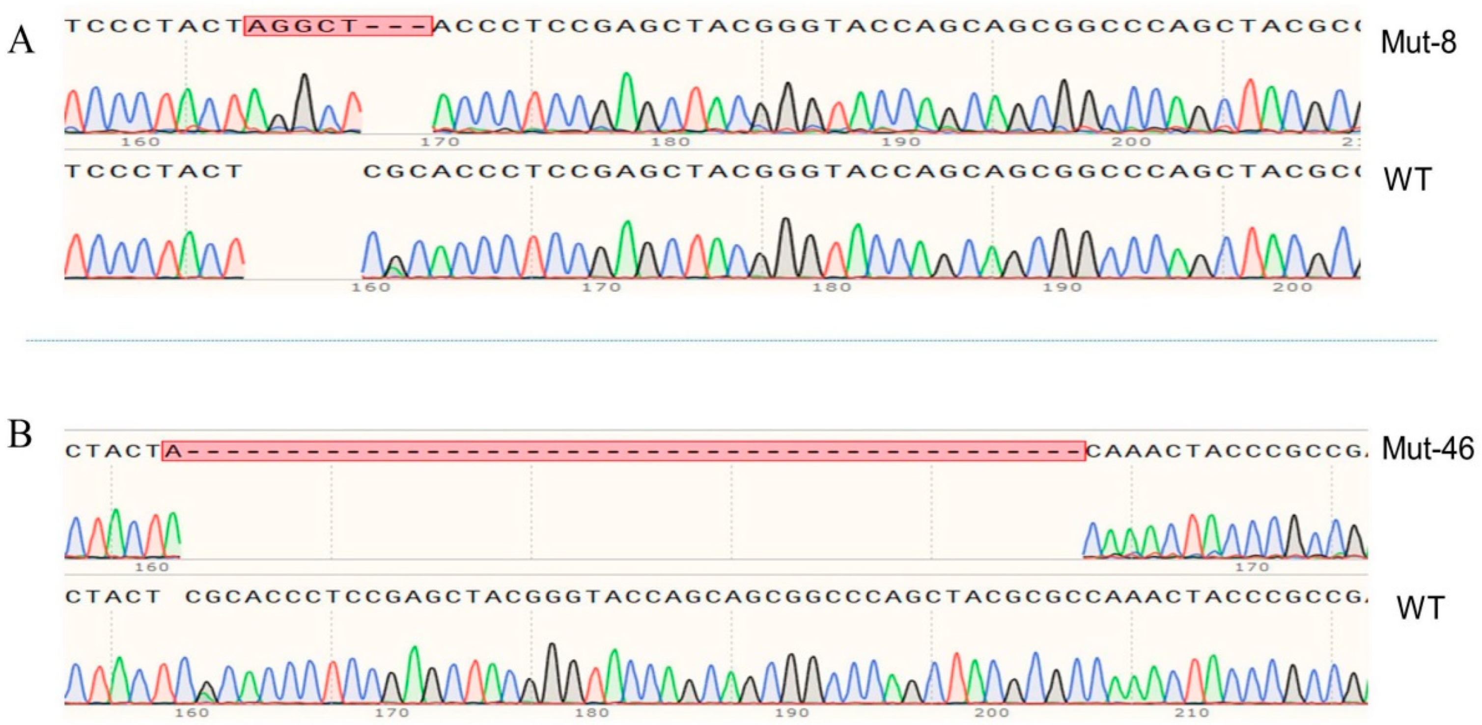 Ijms 23 09538 g004 Ijms 23 09538 g004