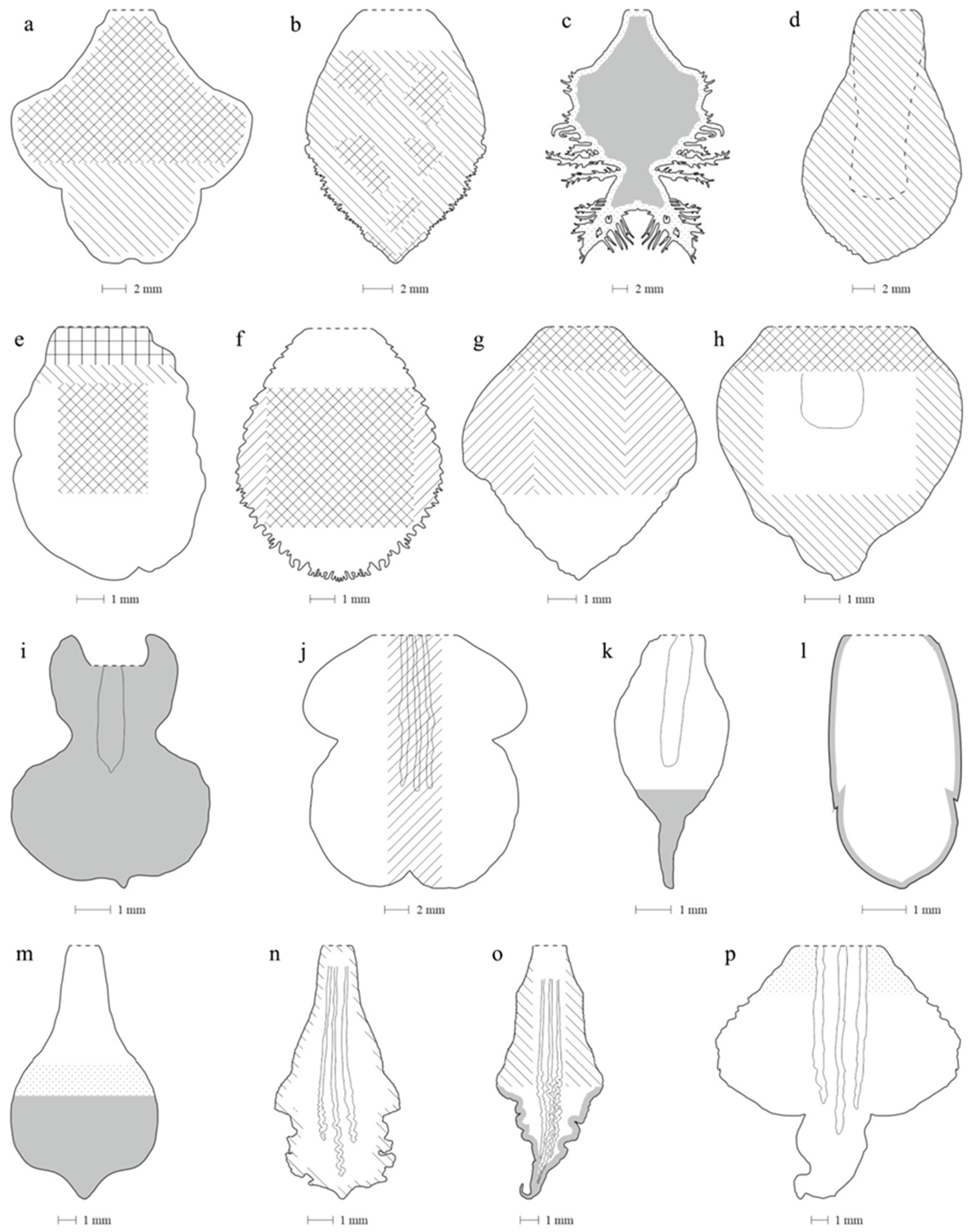 Ijms 23 09578 g004 Ijms 23 09578 g004