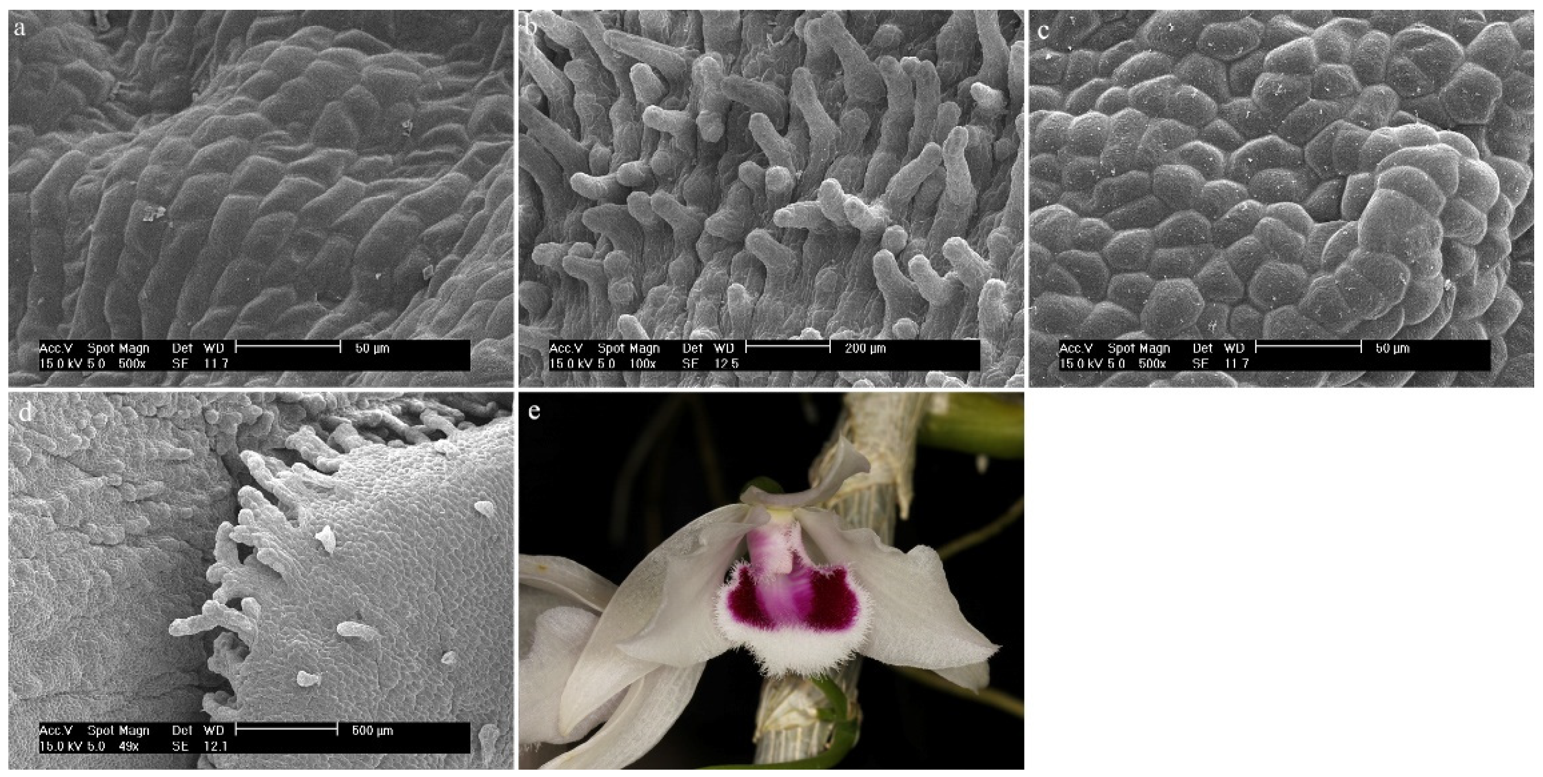 Ijms 23 09578 g010 Ijms 23 09578 g010