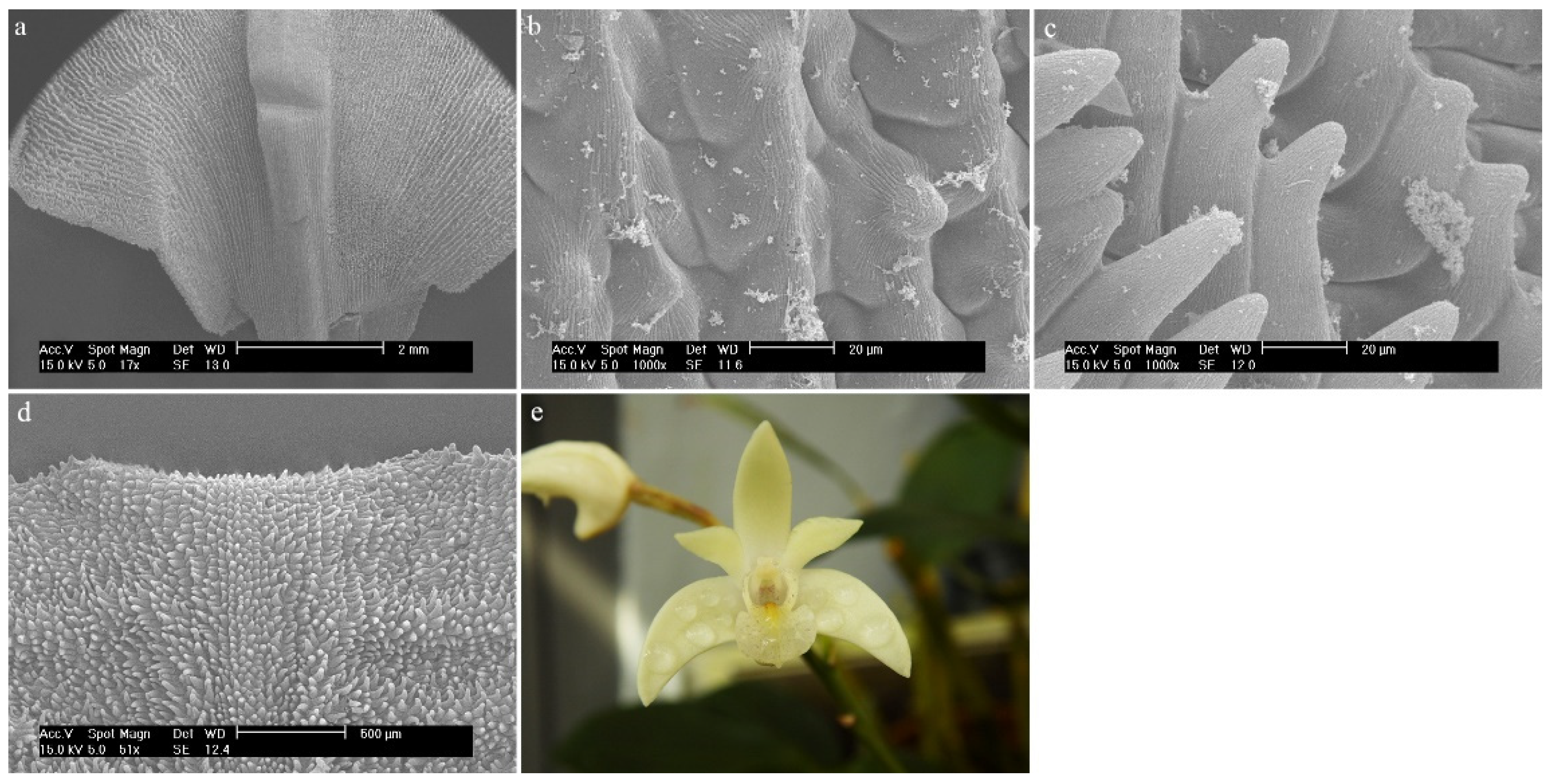 Ijms 23 09578 g013 Ijms 23 09578 g013