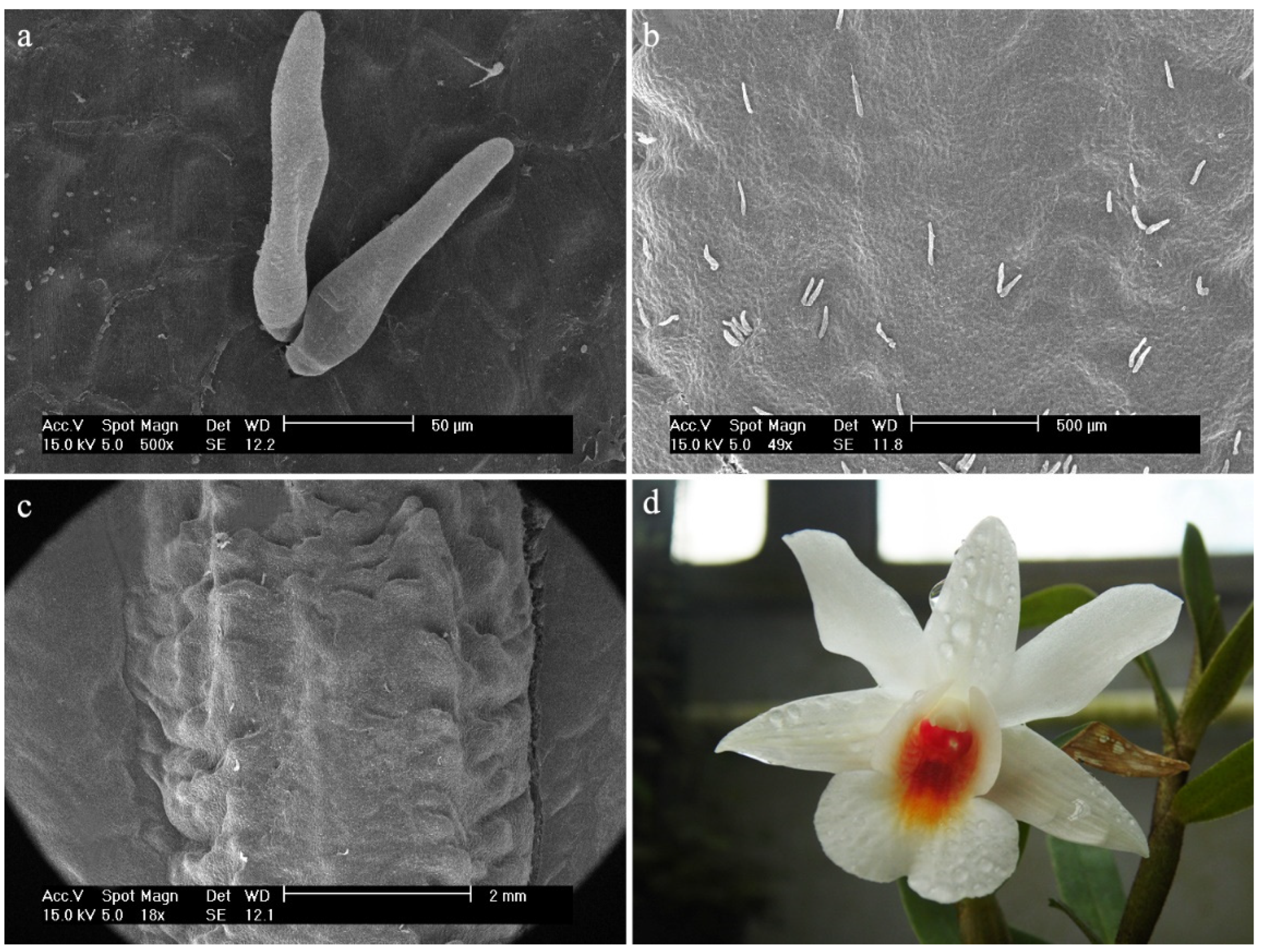 Ijms 23 09578 g014 Ijms 23 09578 g014