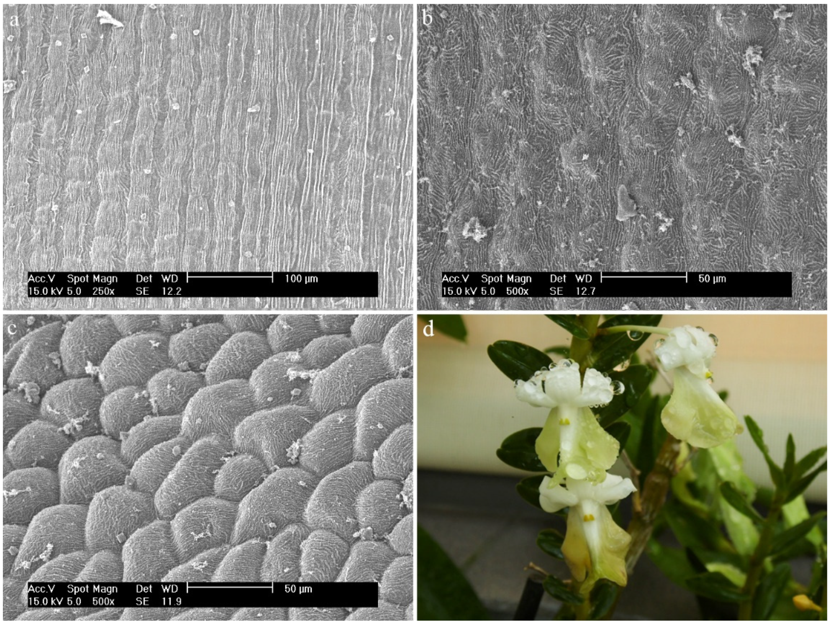 Ijms 23 09578 g022 Ijms 23 09578 g022