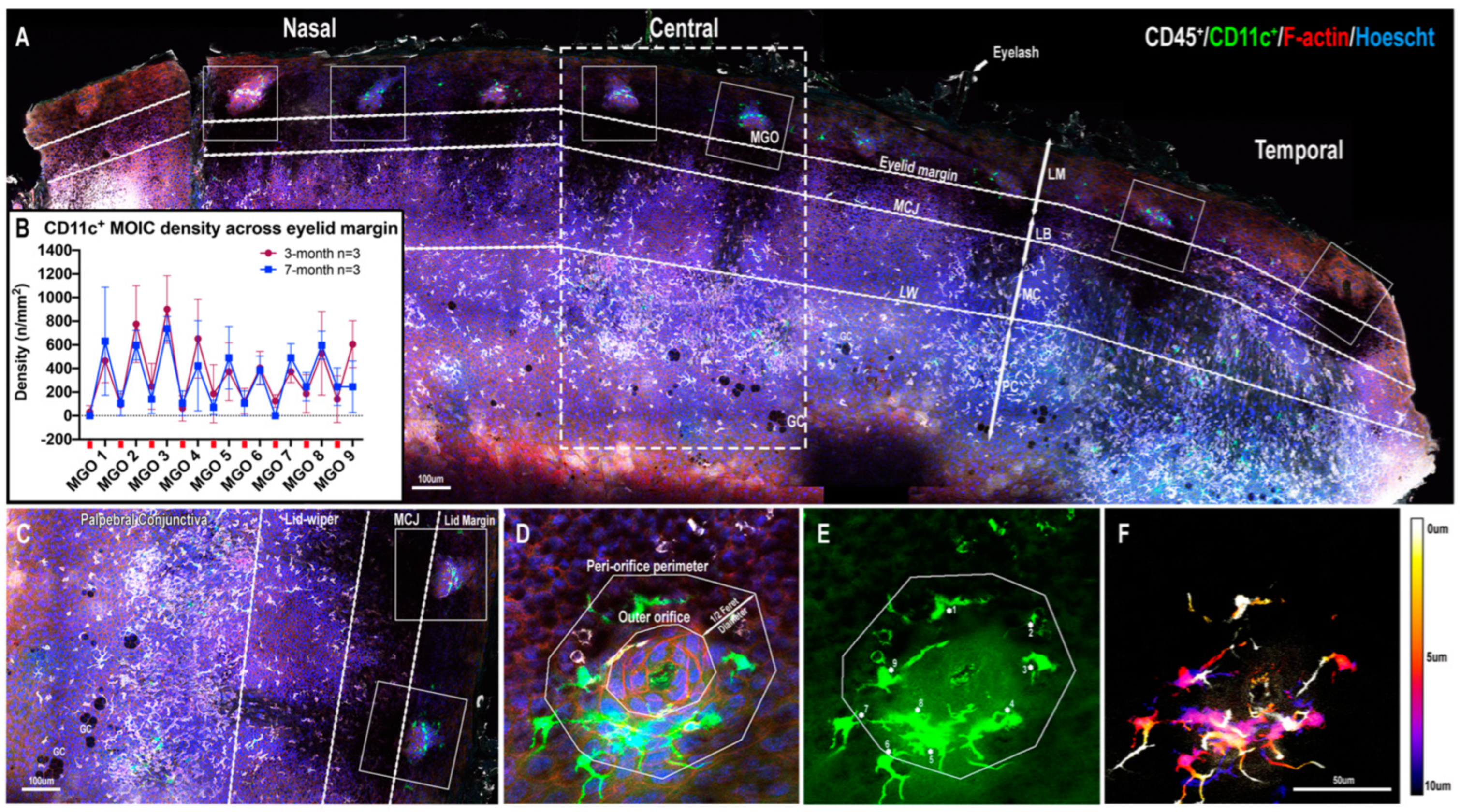 Ijms 23 09589 g001 Ijms 23 09589 g001