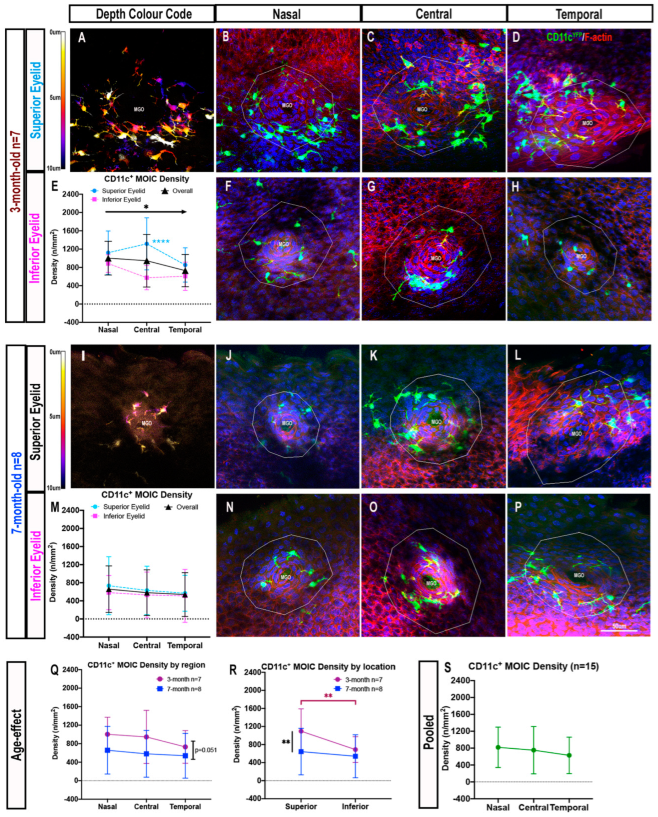 Ijms 23 09589 g002 Ijms 23 09589 g002