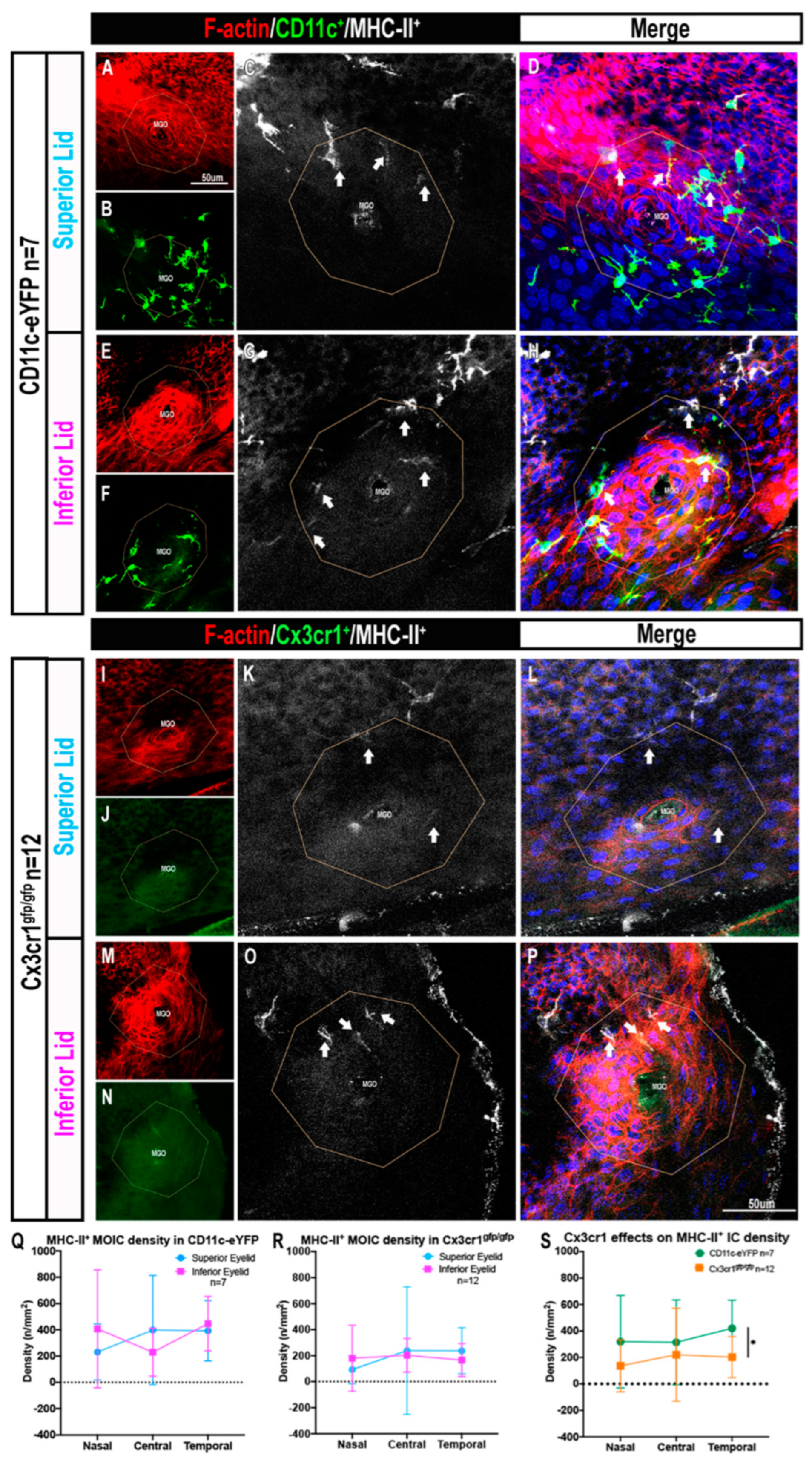 Ijms 23 09589 g004 Ijms 23 09589 g004