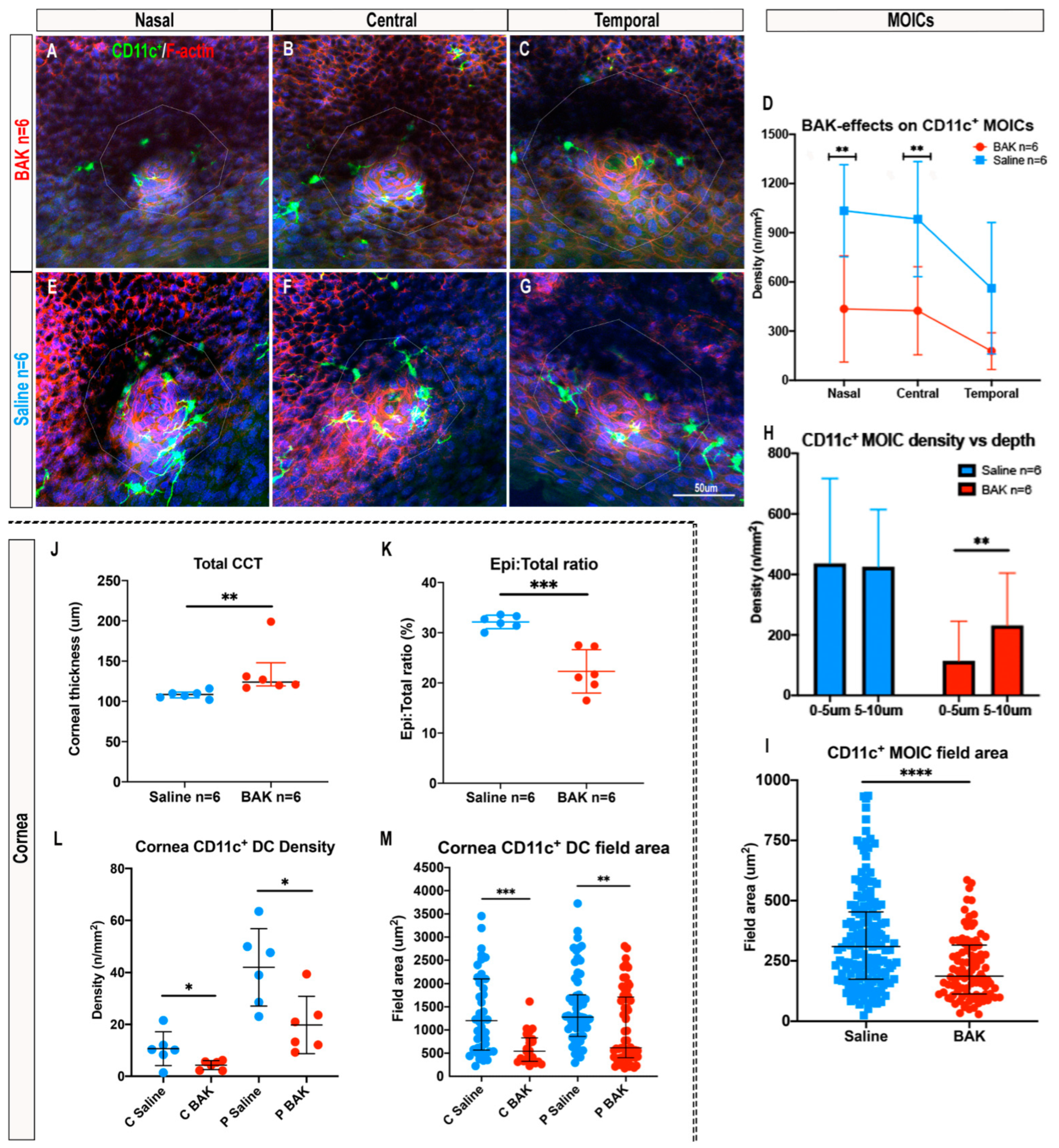 Ijms 23 09589 g005 Ijms 23 09589 g005