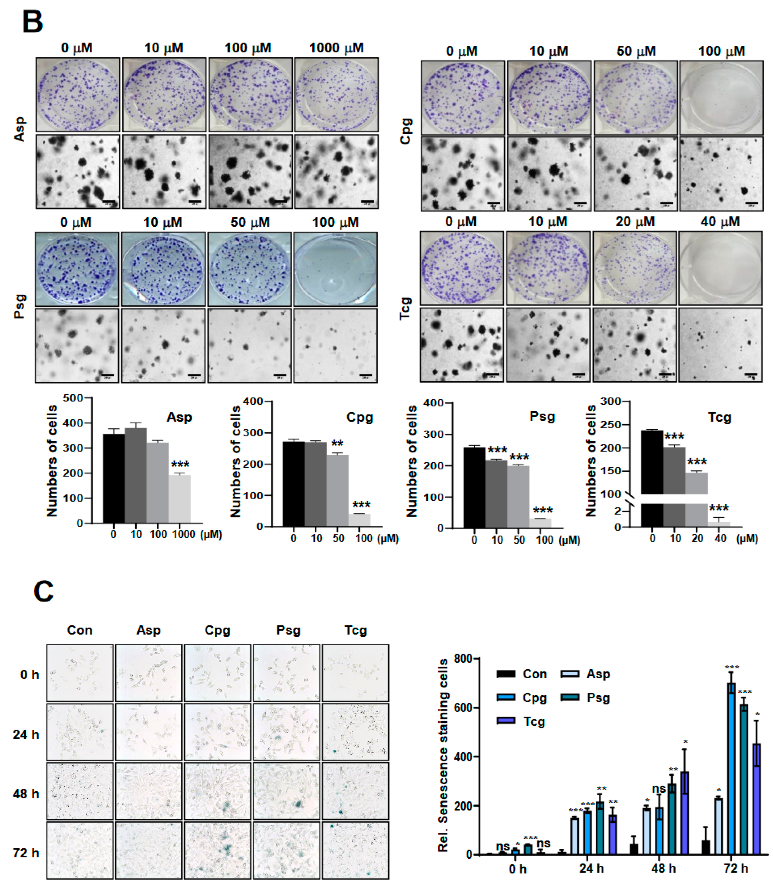 Ijms 23 09596 g001b Ijms 23 09596 g001b