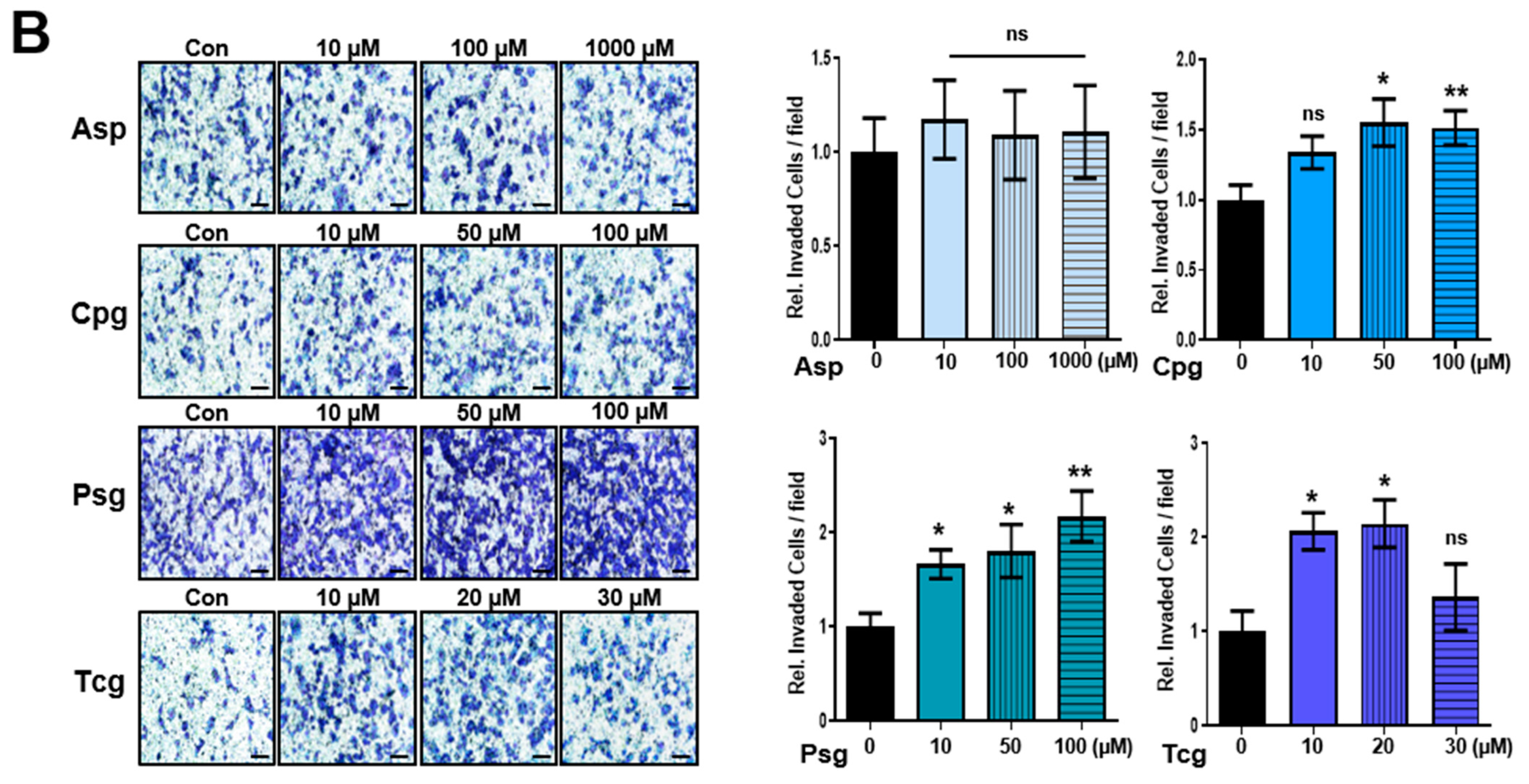 Ijms 23 09596 g002b Ijms 23 09596 g002b