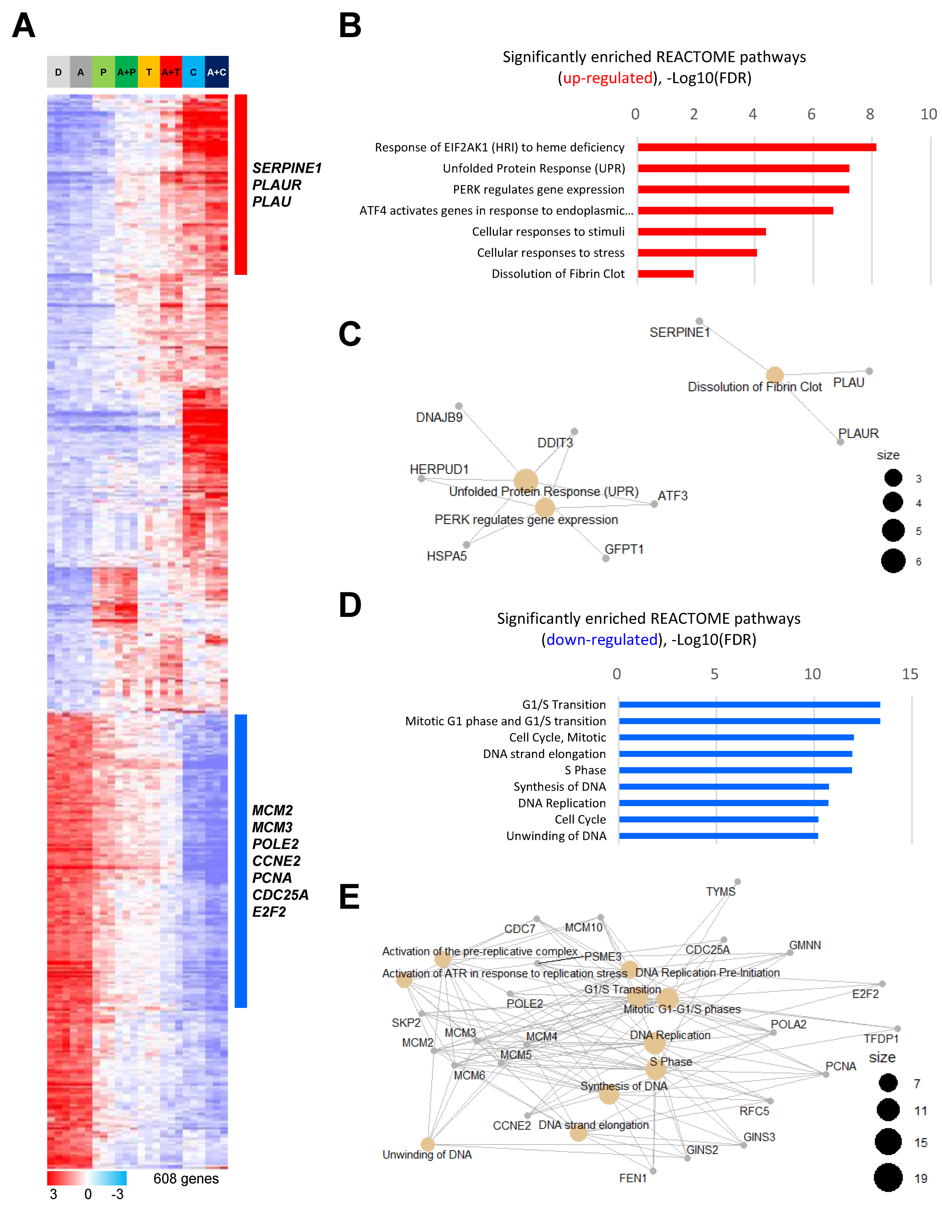 Ijms 23 09596 g003 Ijms 23 09596 g003