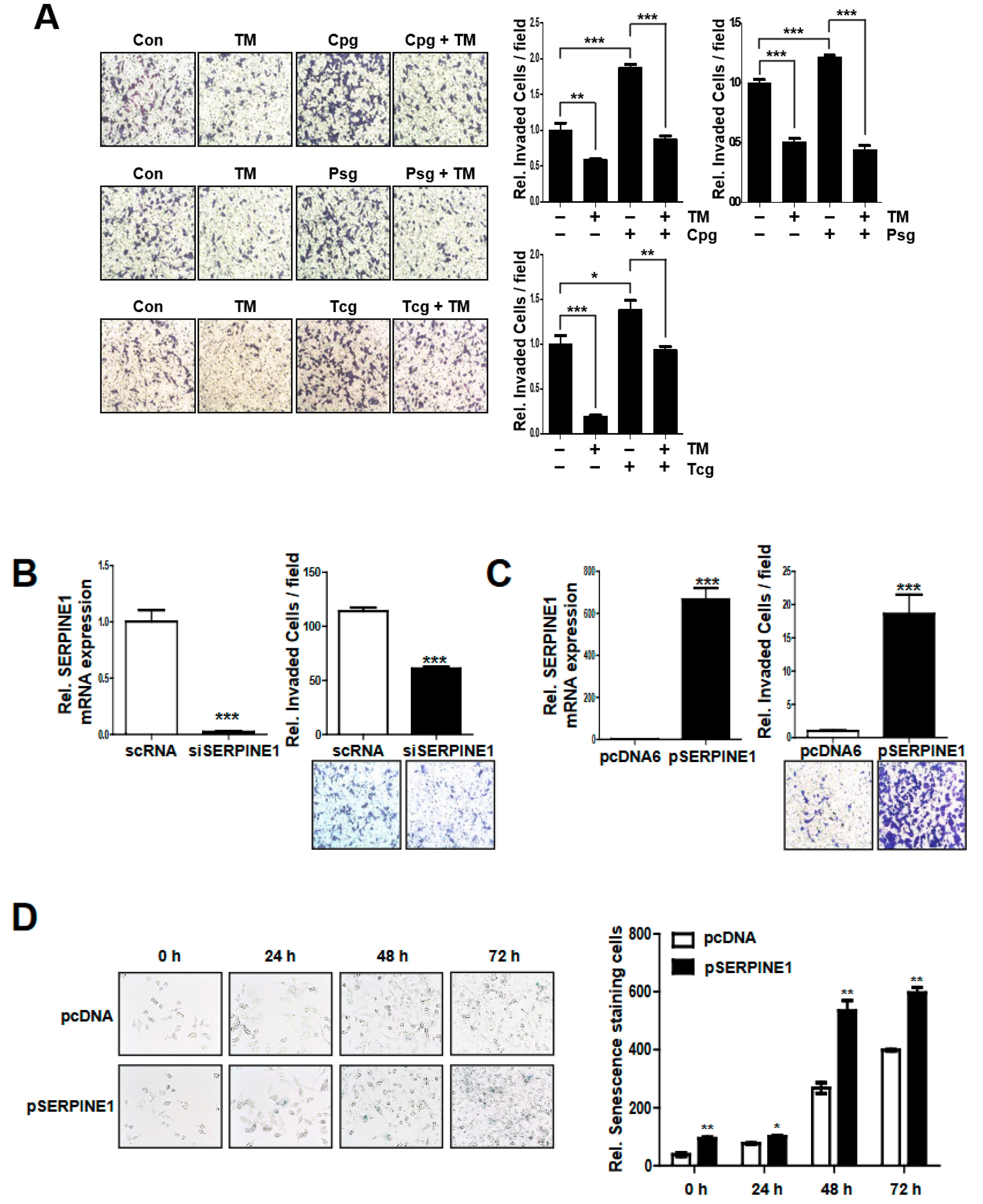 Ijms 23 09596 g005 Ijms 23 09596 g005