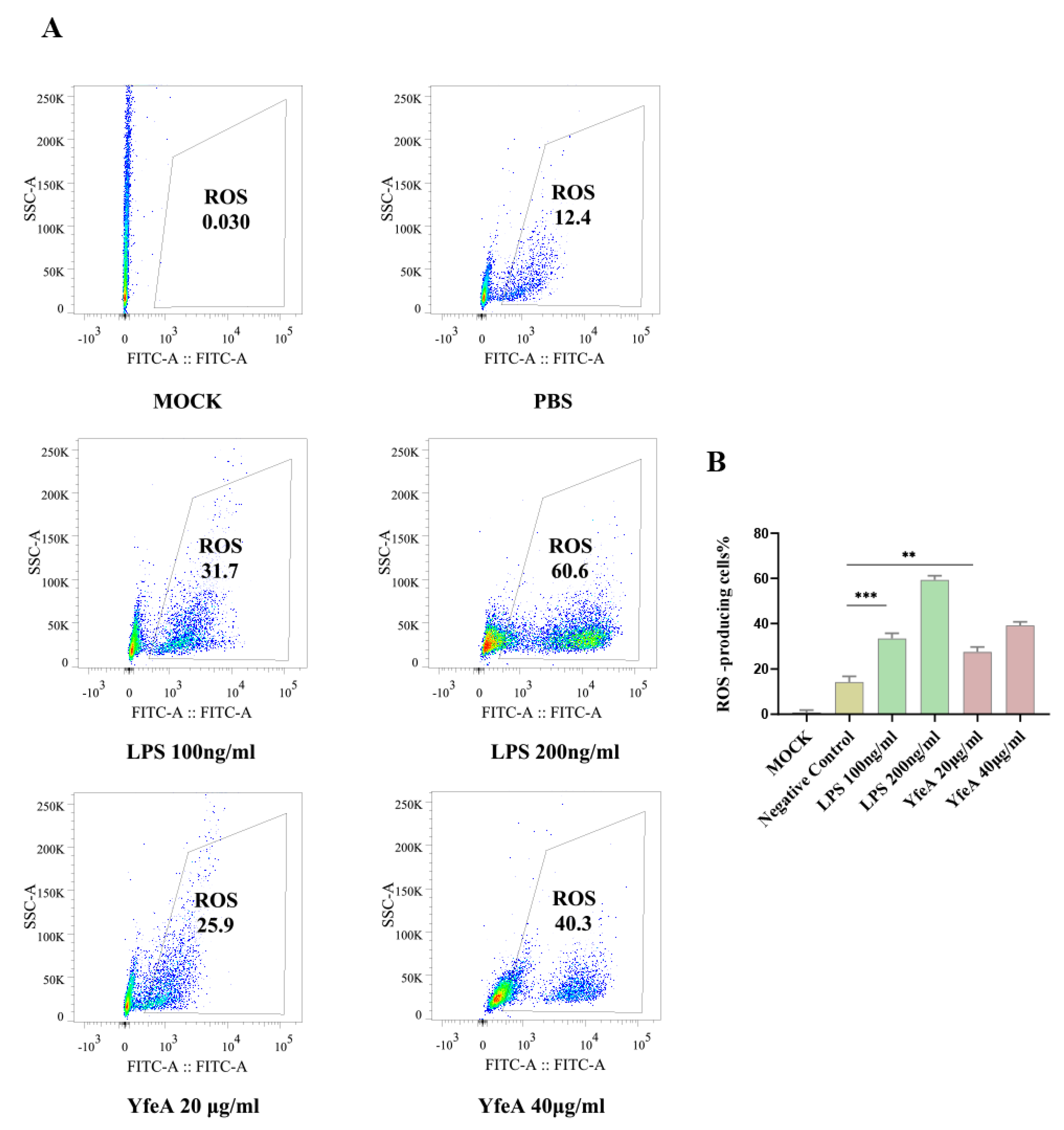 Ijms Free Full Text Metal Ion Periplasmic Binding Protein Yfea Of