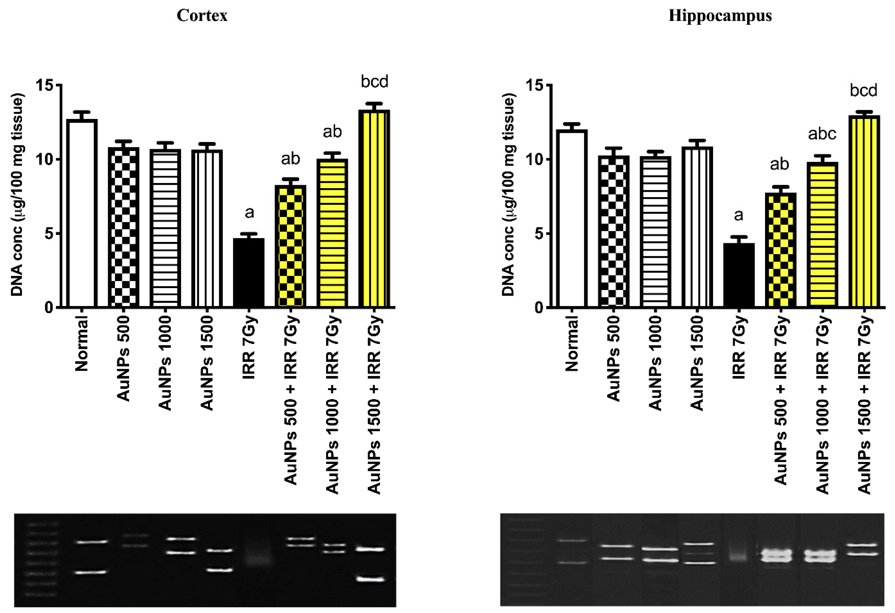 Ijms 23 09640 g008 Ijms 23 09640 g008