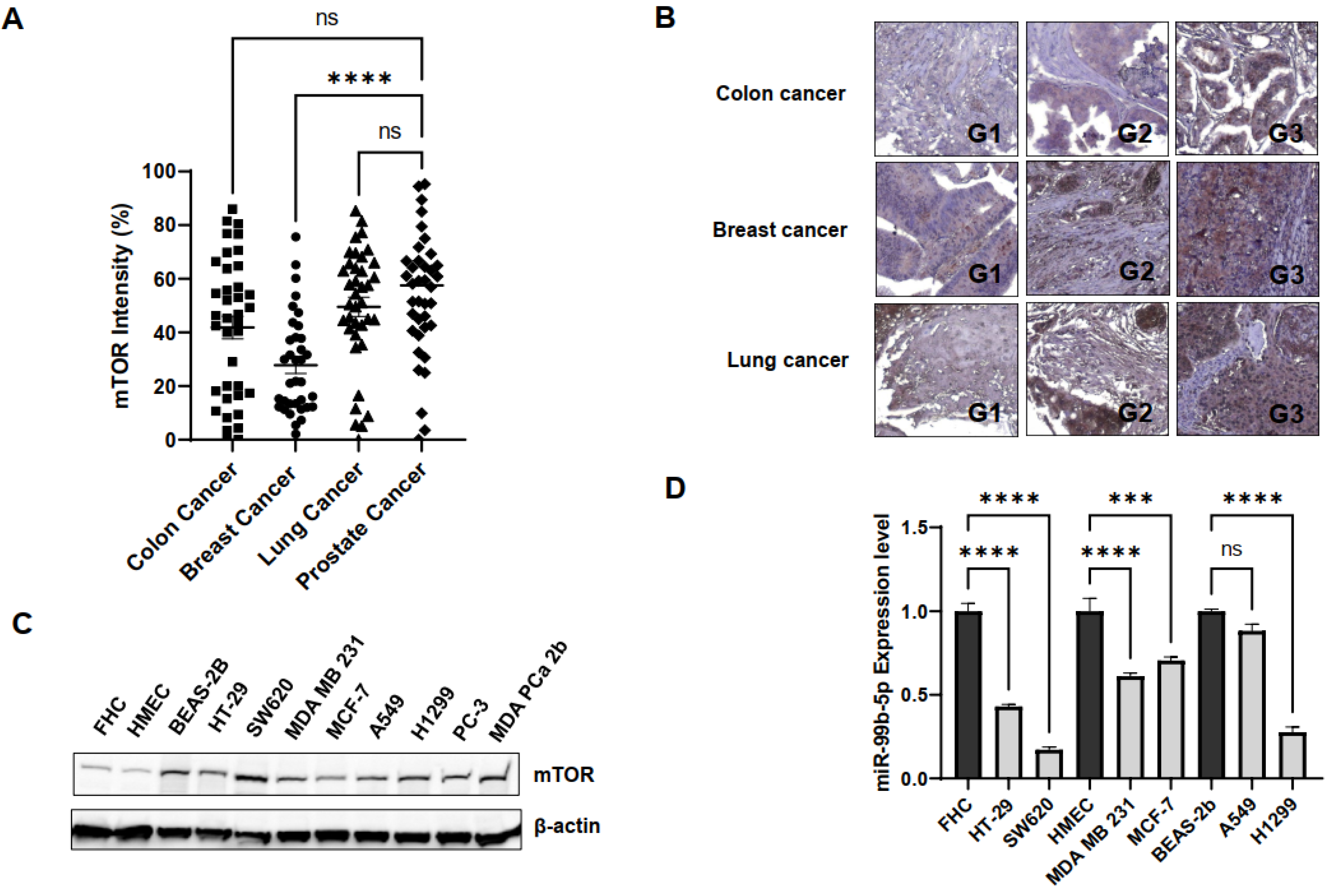 Ijms 23 09643 g004 Ijms 23 09643 g004