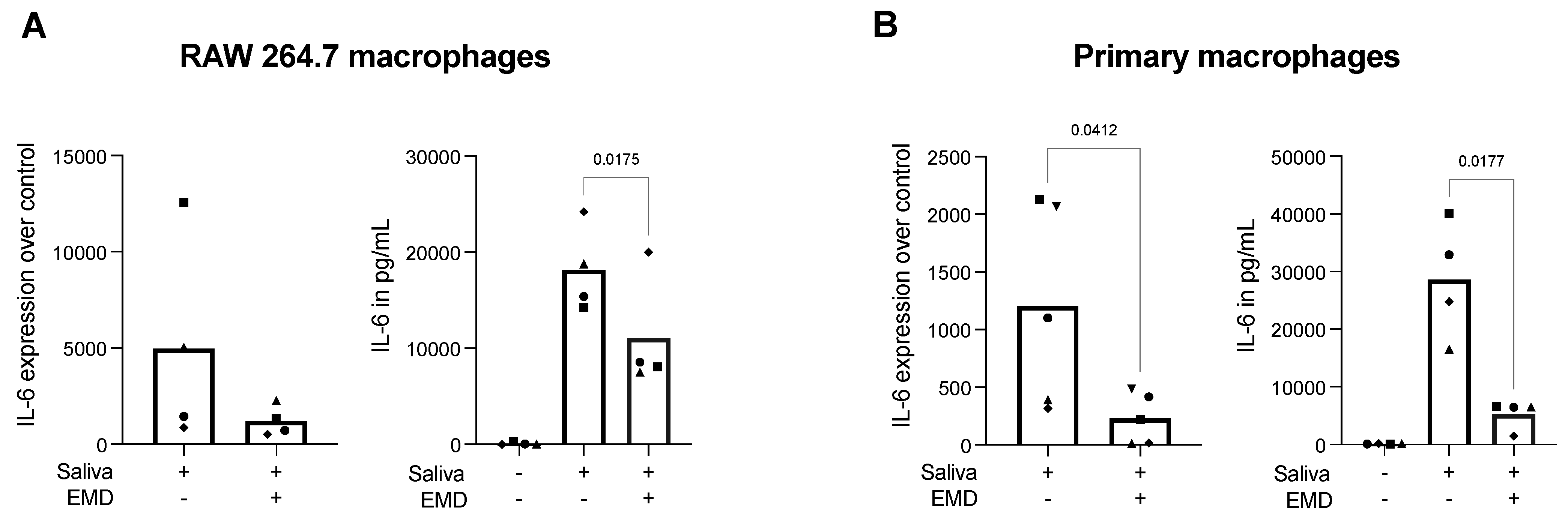 A) Bj protein-dependent TNF-α release. RAW 264.7 cells, in a 24-well