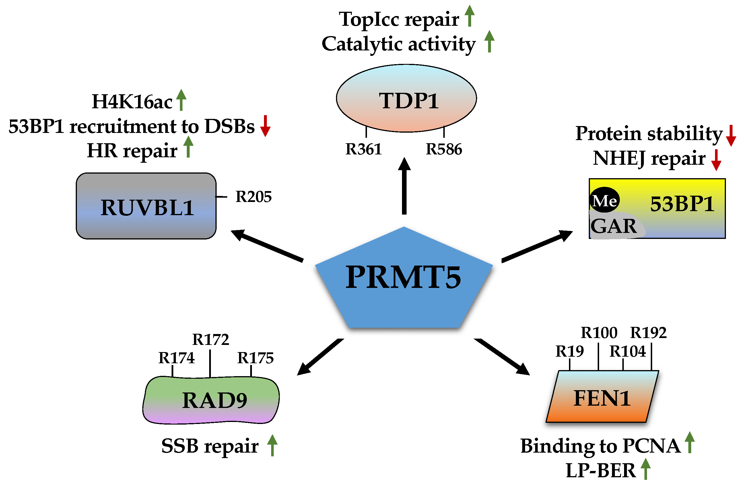 Ijms 23 09780 g004 Ijms 23 09780 g004