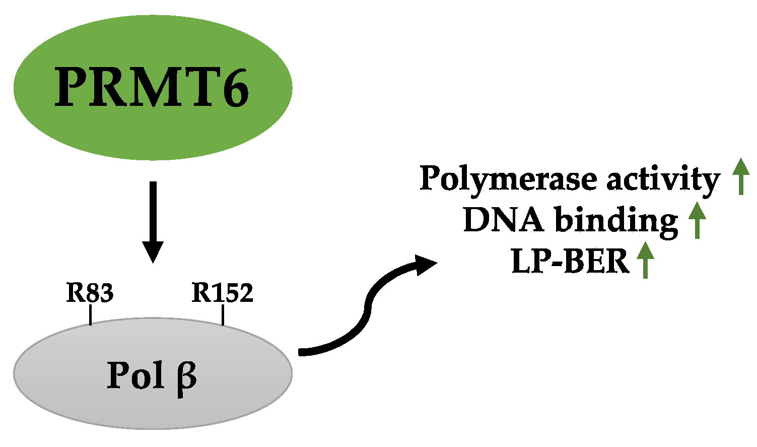 Ijms 23 09780 g005 Ijms 23 09780 g005