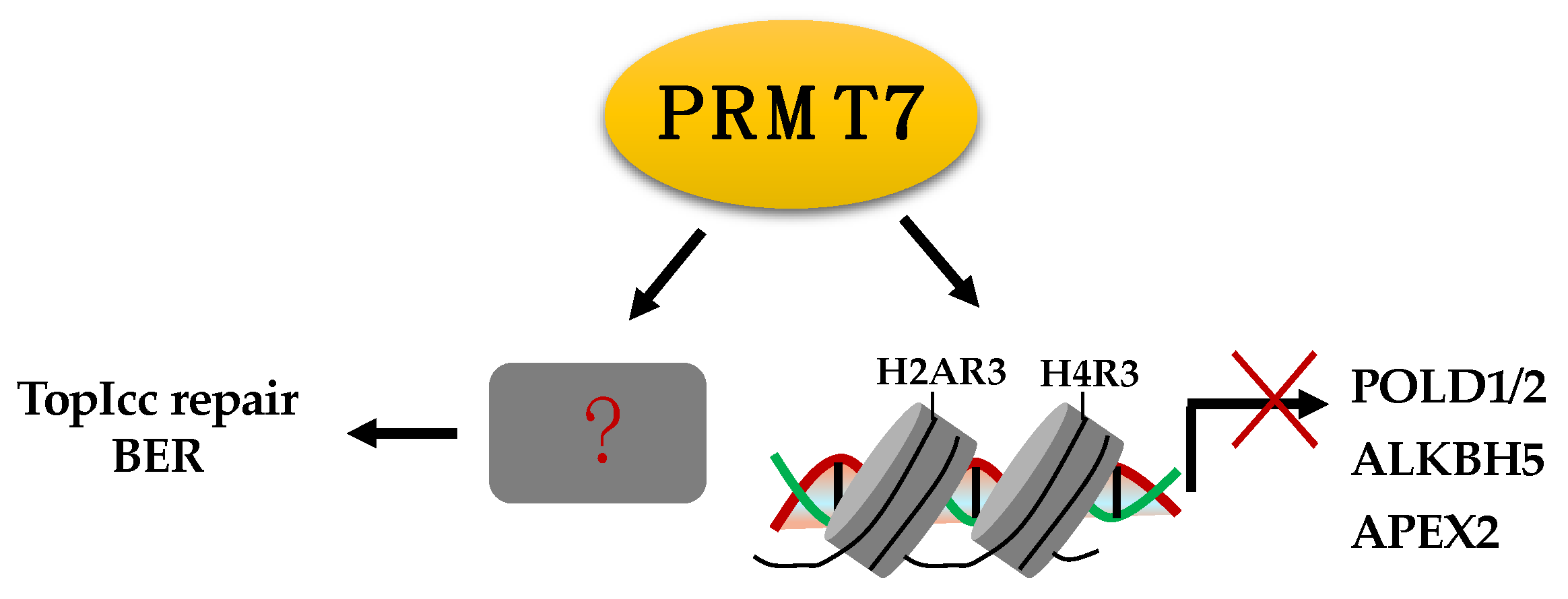 Ijms 23 09780 g006 Ijms 23 09780 g006