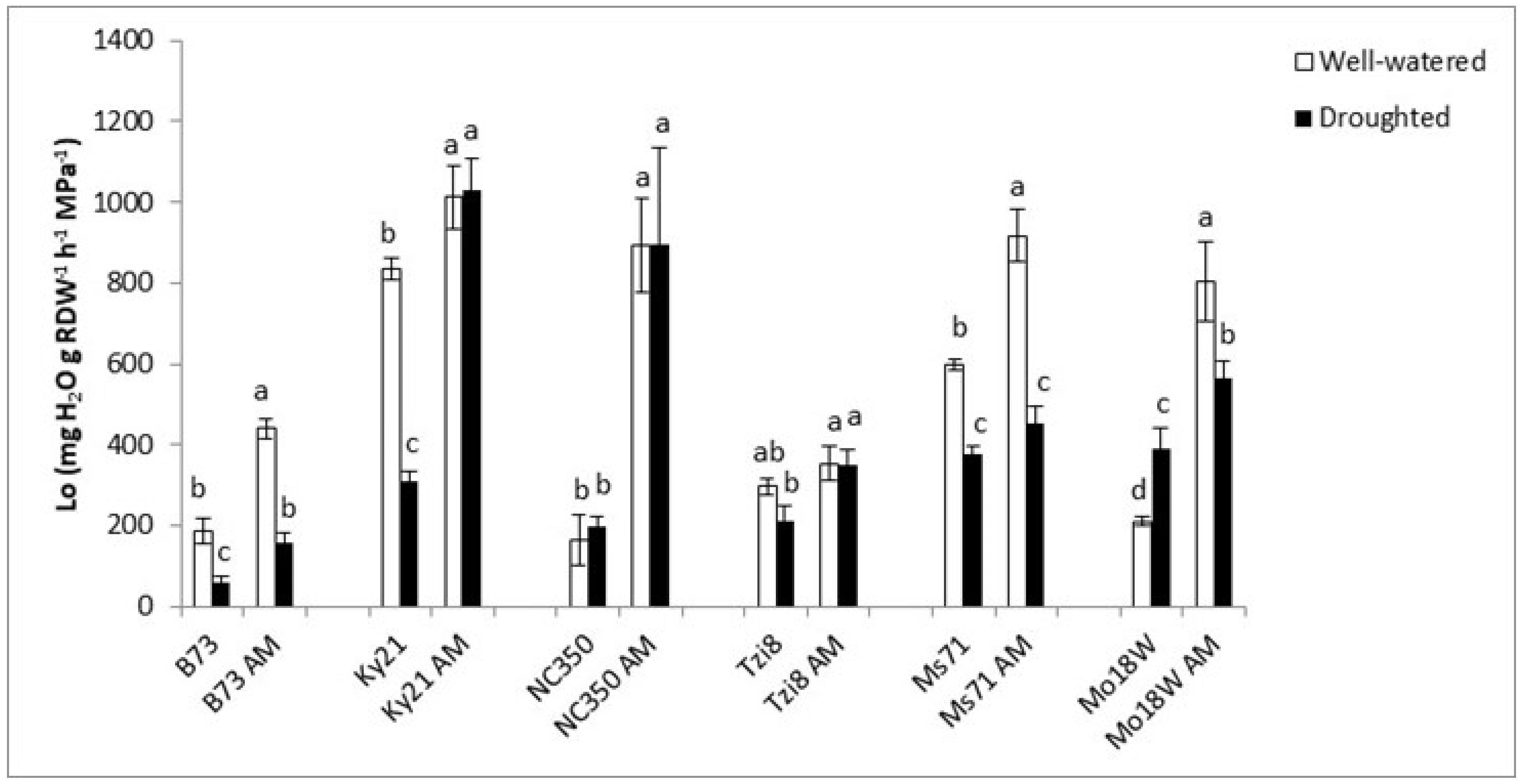 Ijms 23 09822 g008 Ijms 23 09822 g008