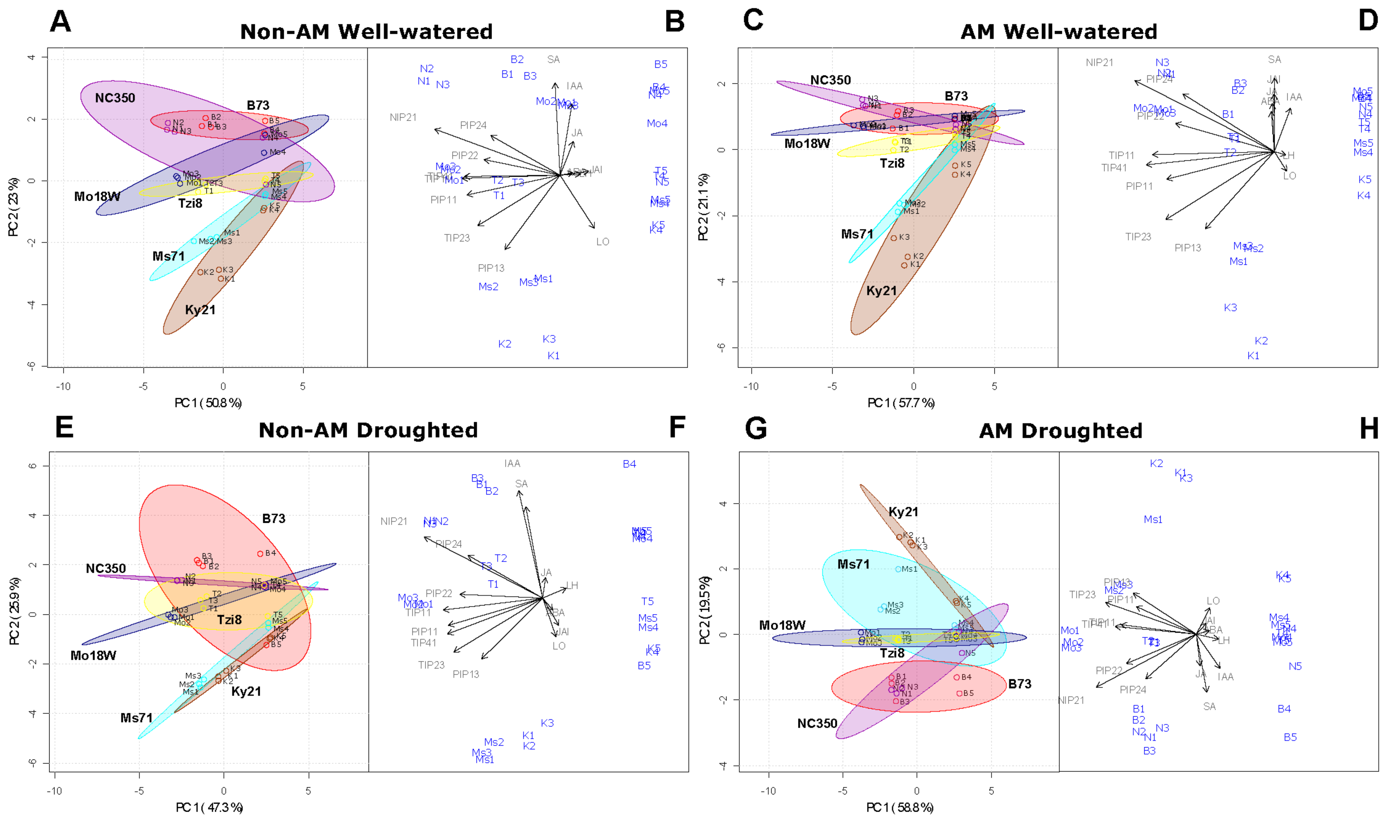 Ijms 23 09822 g010 Ijms 23 09822 g010
