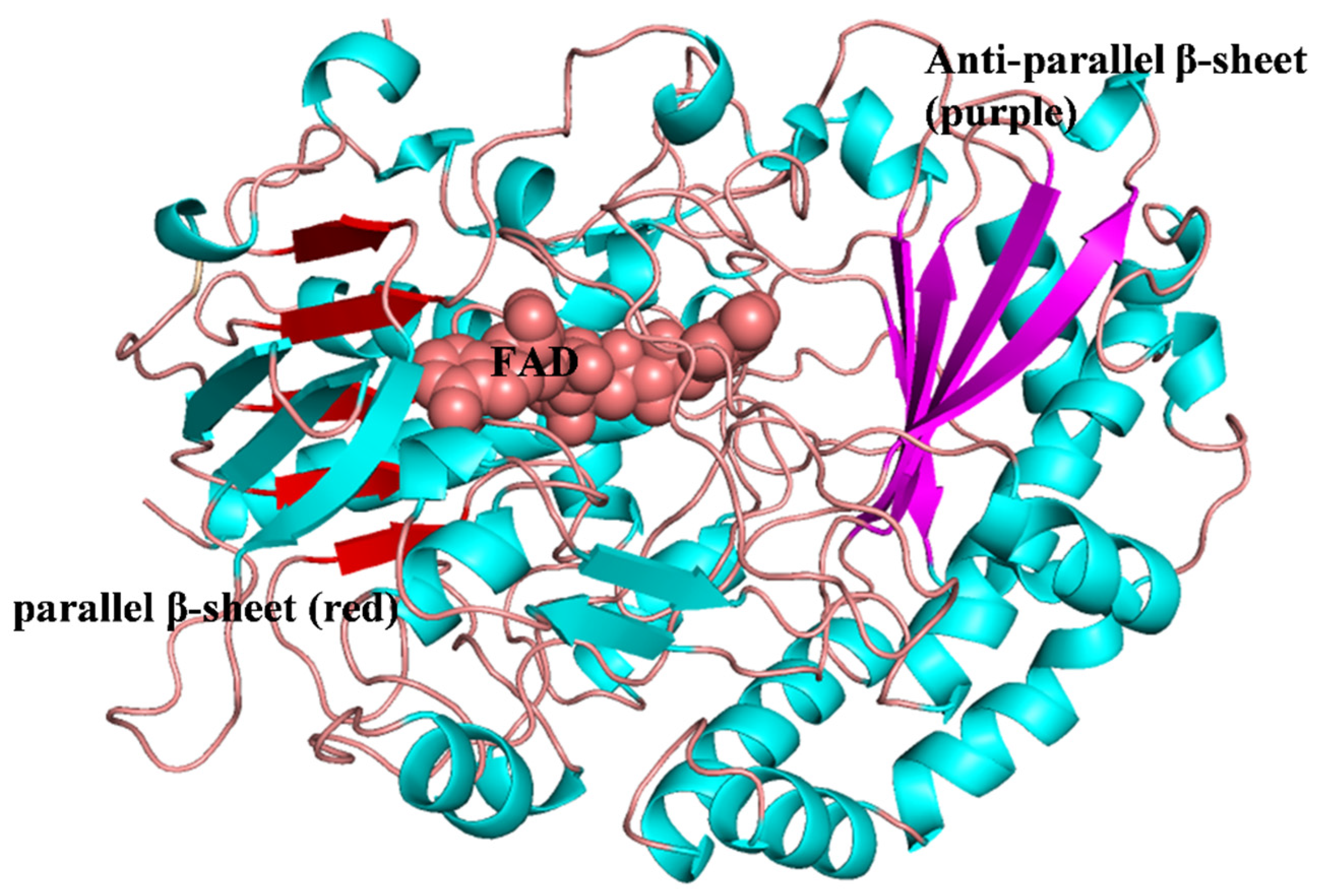 IJMS | Free Full-Text | Insights into the Structures, Inhibitors 