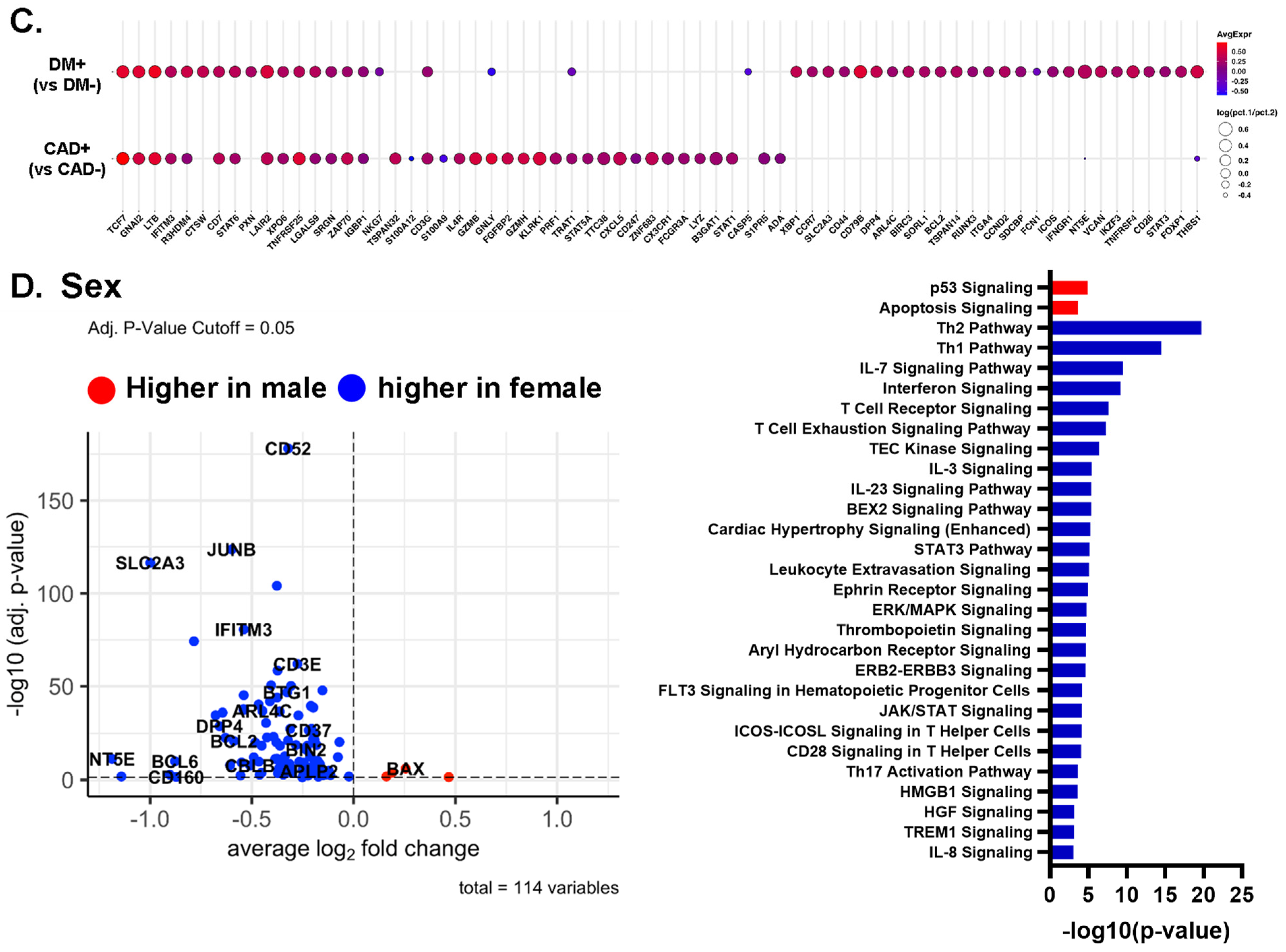 Ijms 23 09875 g005b Ijms 23 09875 g005b