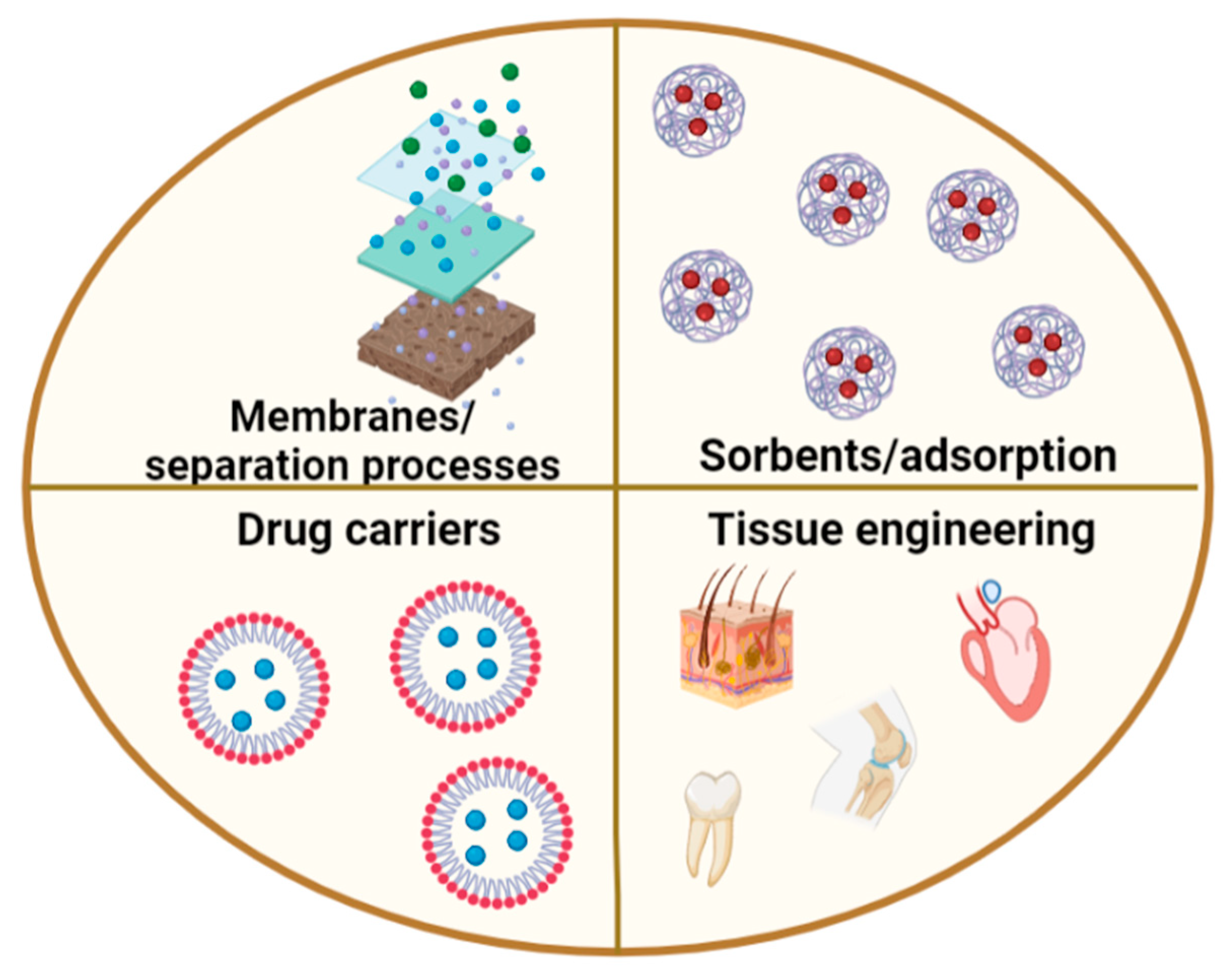 IJMS | Free Full-Text | Neat Chitosan Porous Materials: A Review Of ...