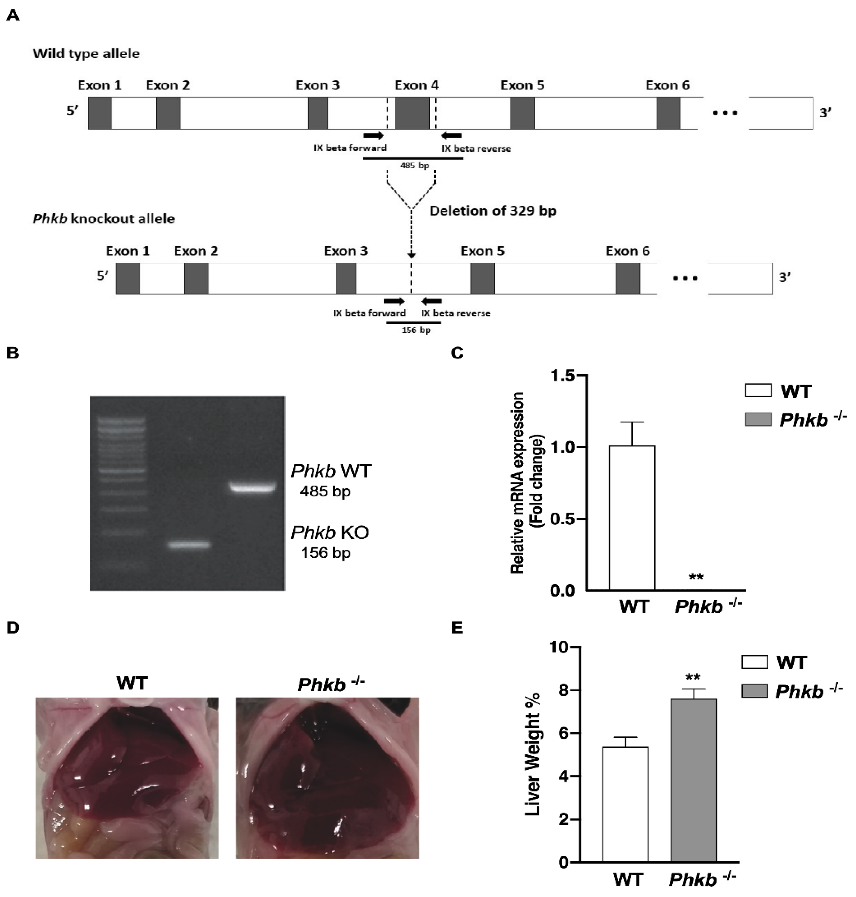 Ijms 23 09944 g001 Ijms 23 09944 g001