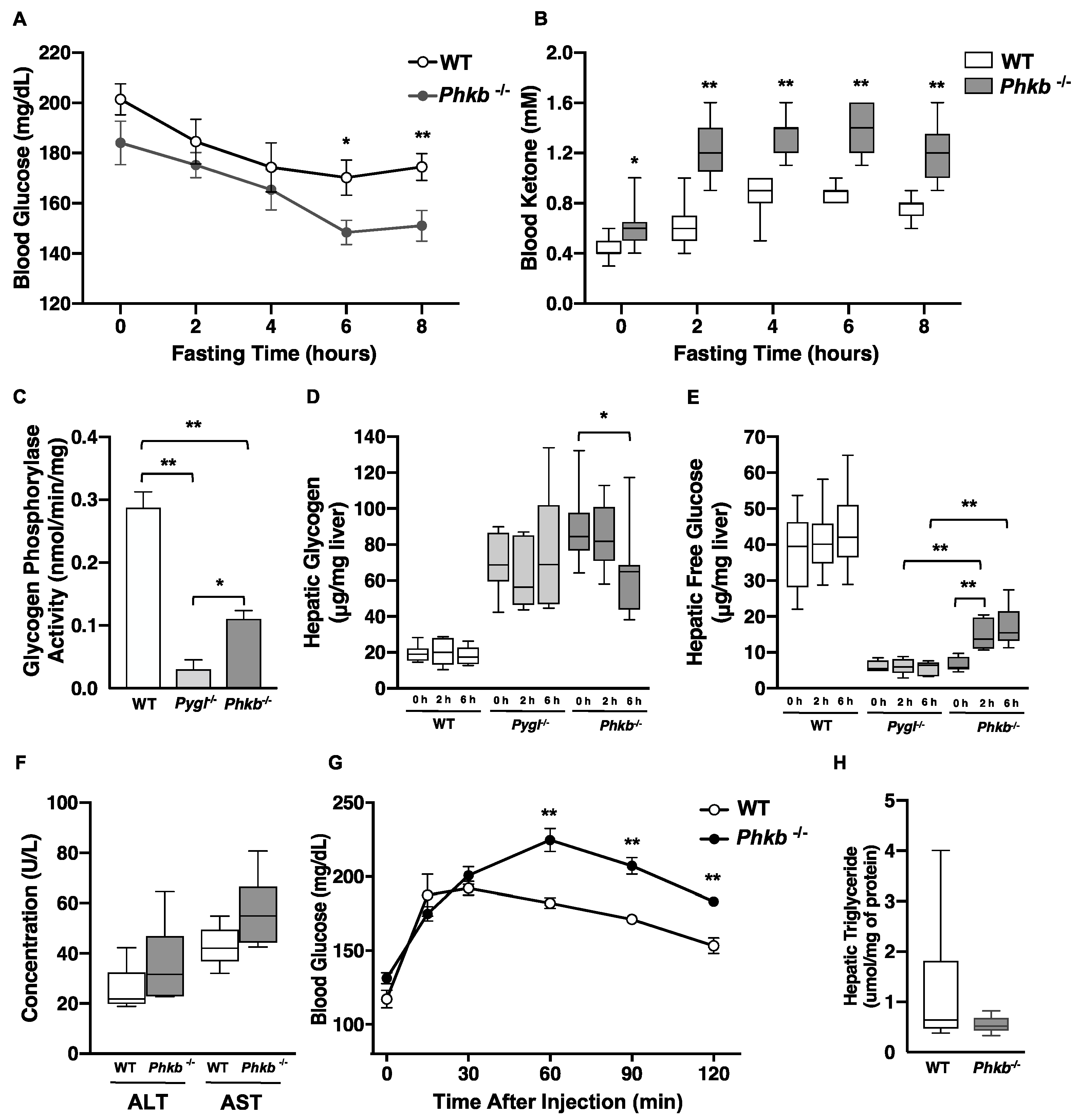 Ijms 23 09944 g002 Ijms 23 09944 g002