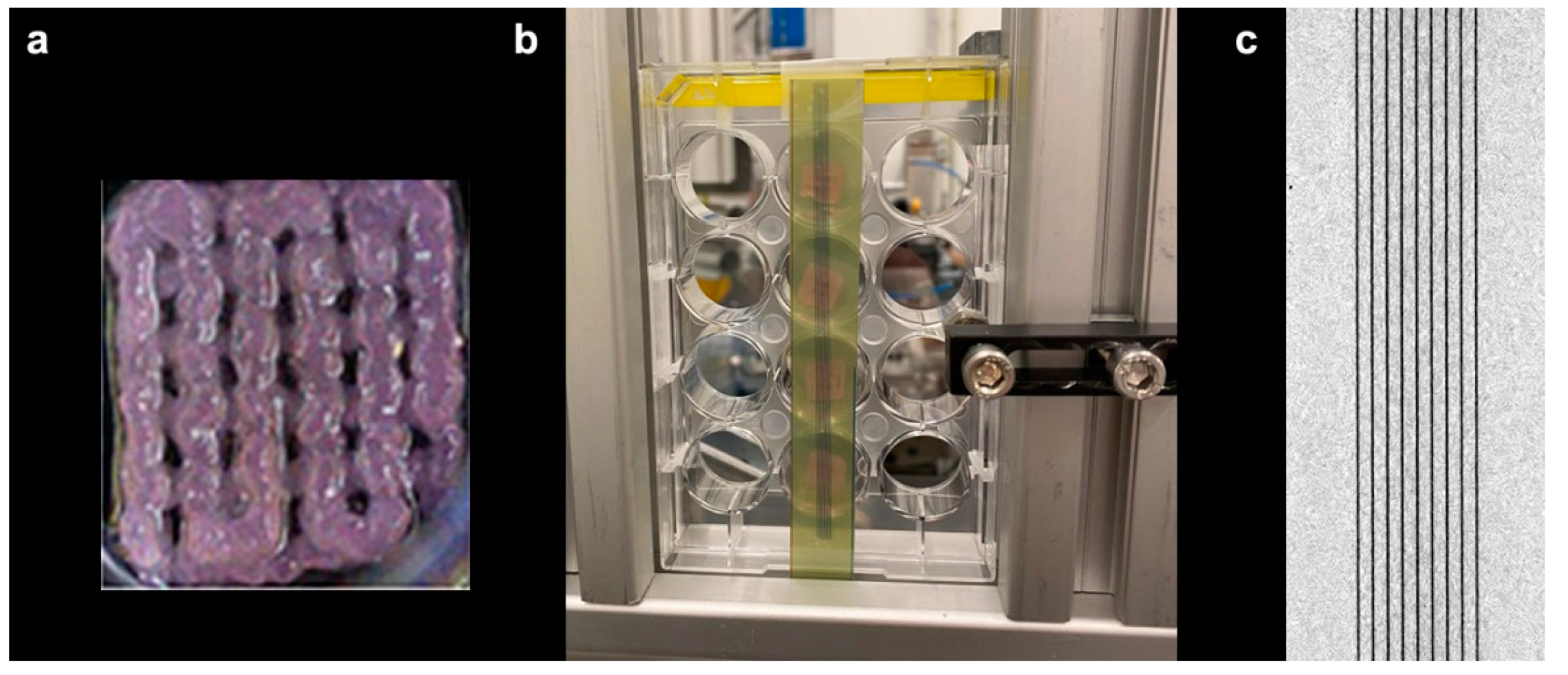IJMS | Free Full-Text | Evaluating the Suitability of 3D Bioprinted Samples  for Experimental Radiotherapy: A Pilot Study