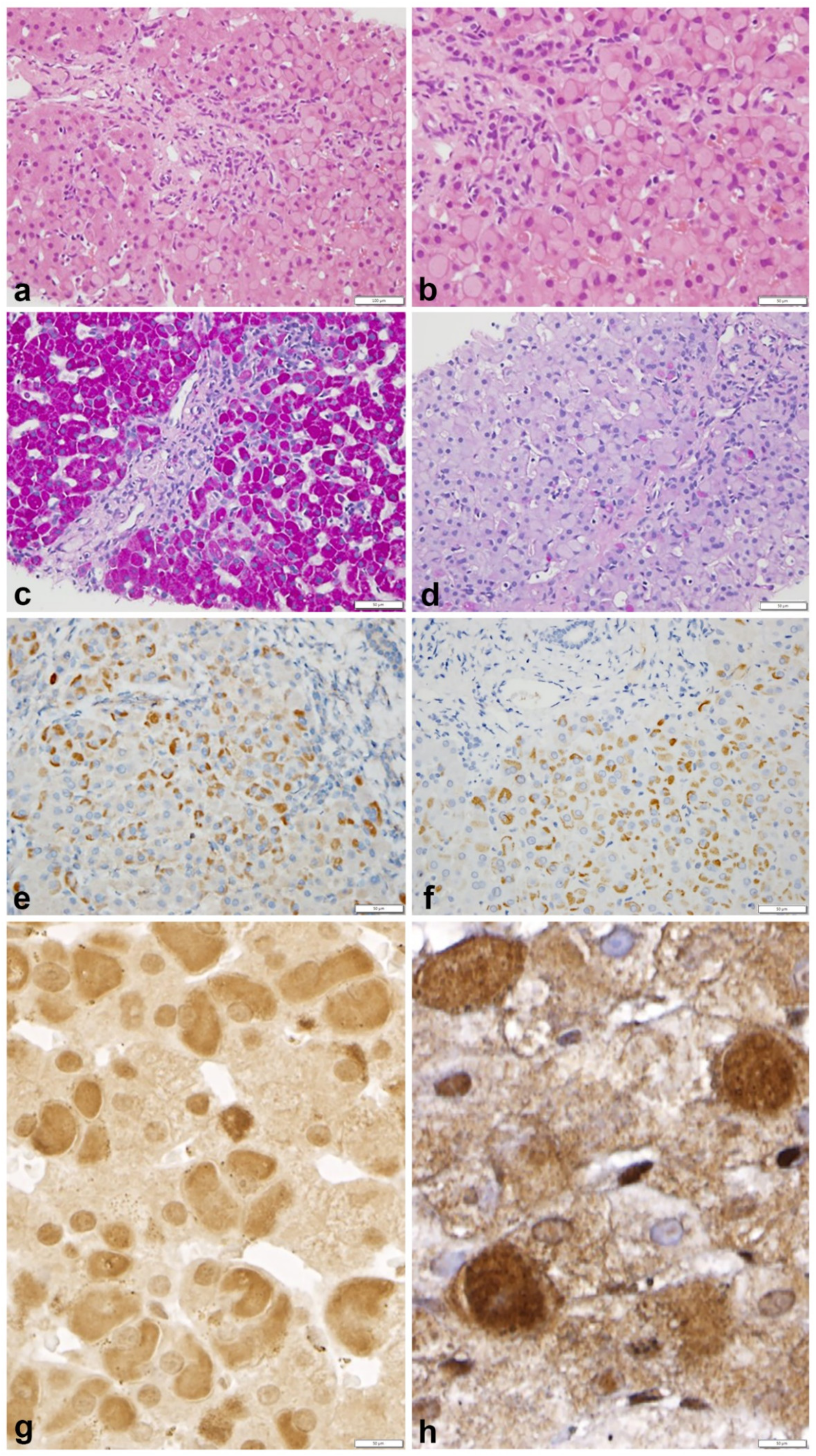 Ijms 23 09996 g002 Ijms 23 09996 g002