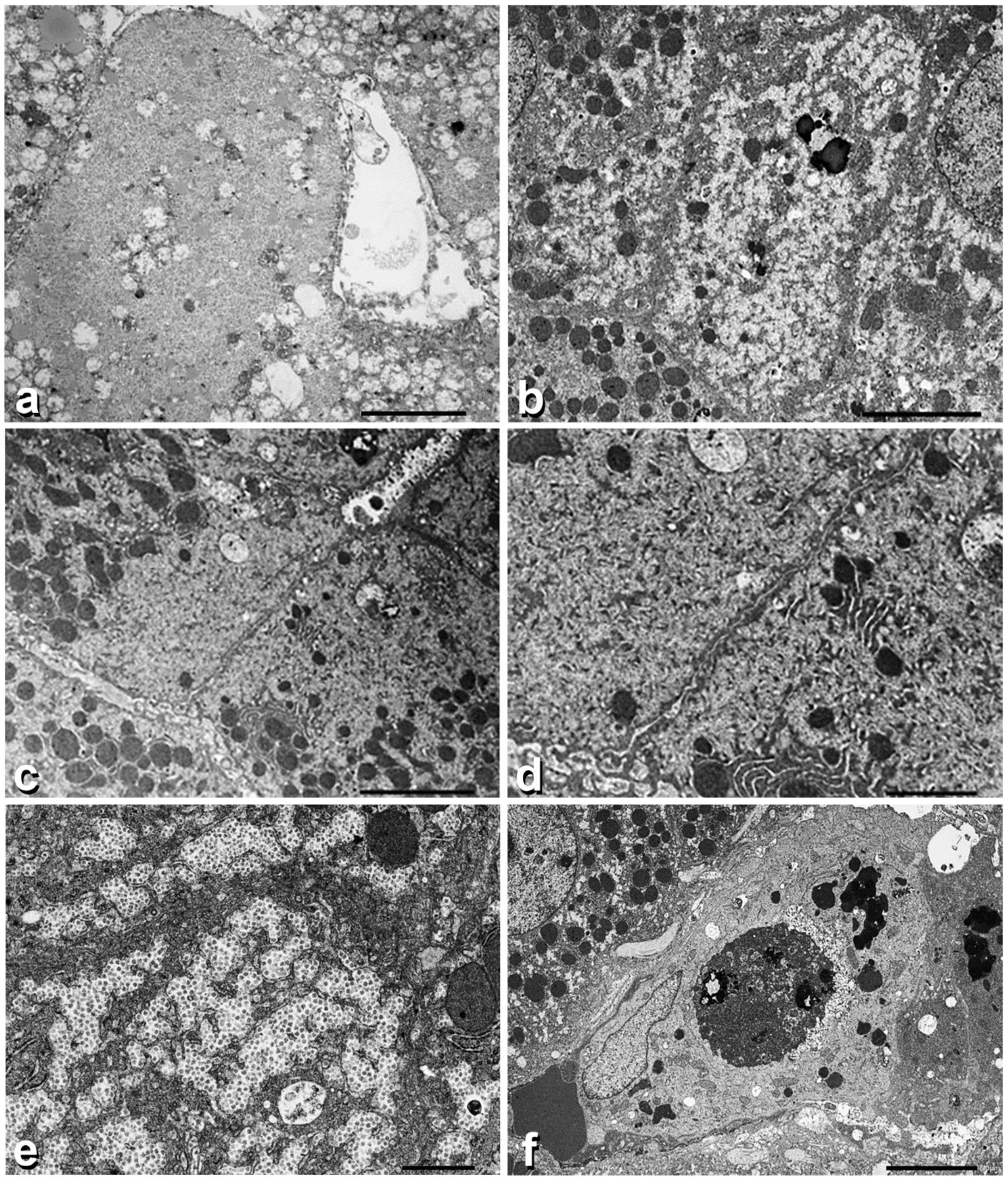 Ijms 23 09996 g003 Ijms 23 09996 g003